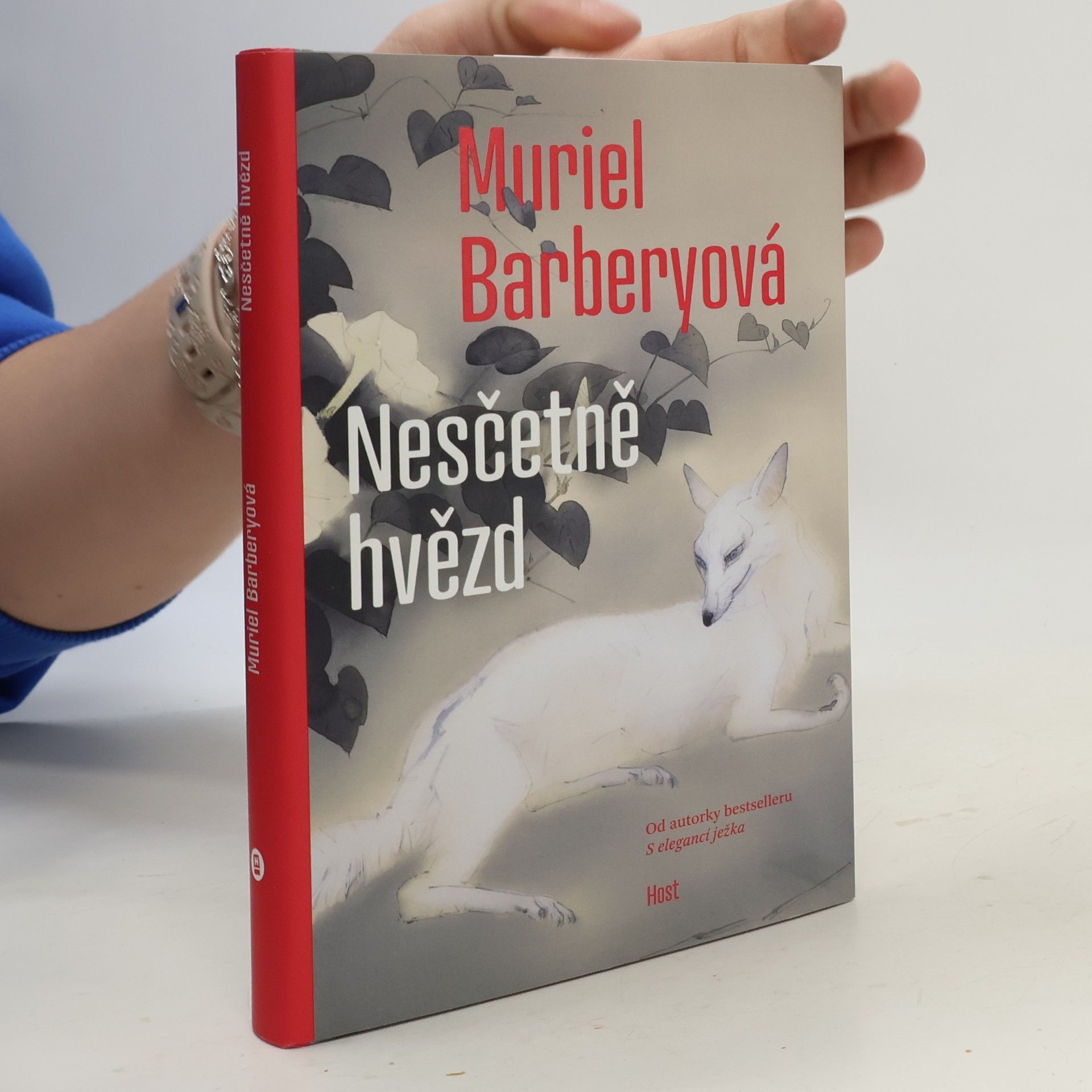 Eva Sládková Nesčetně hvězd