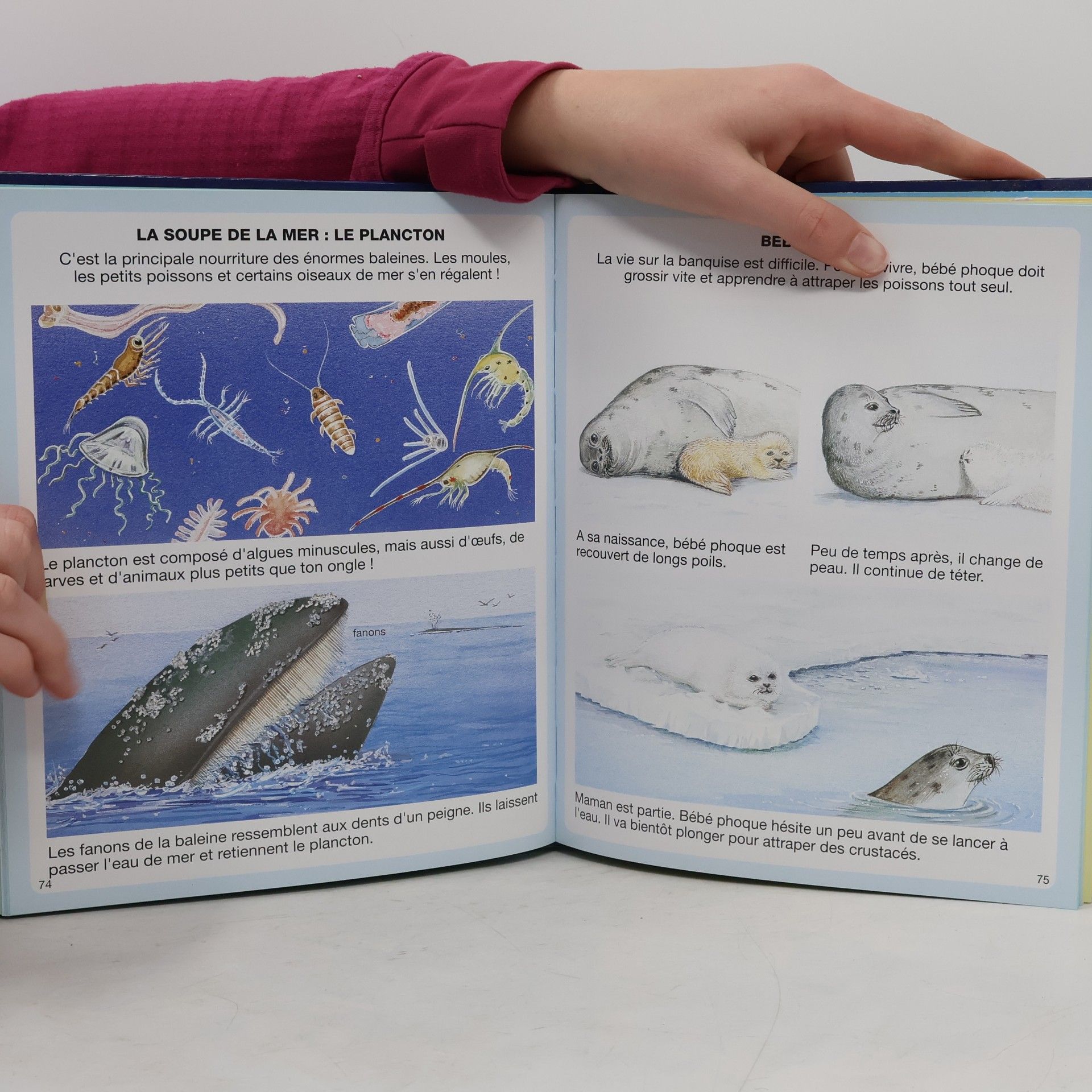 Various authors L'imagerie de la mer