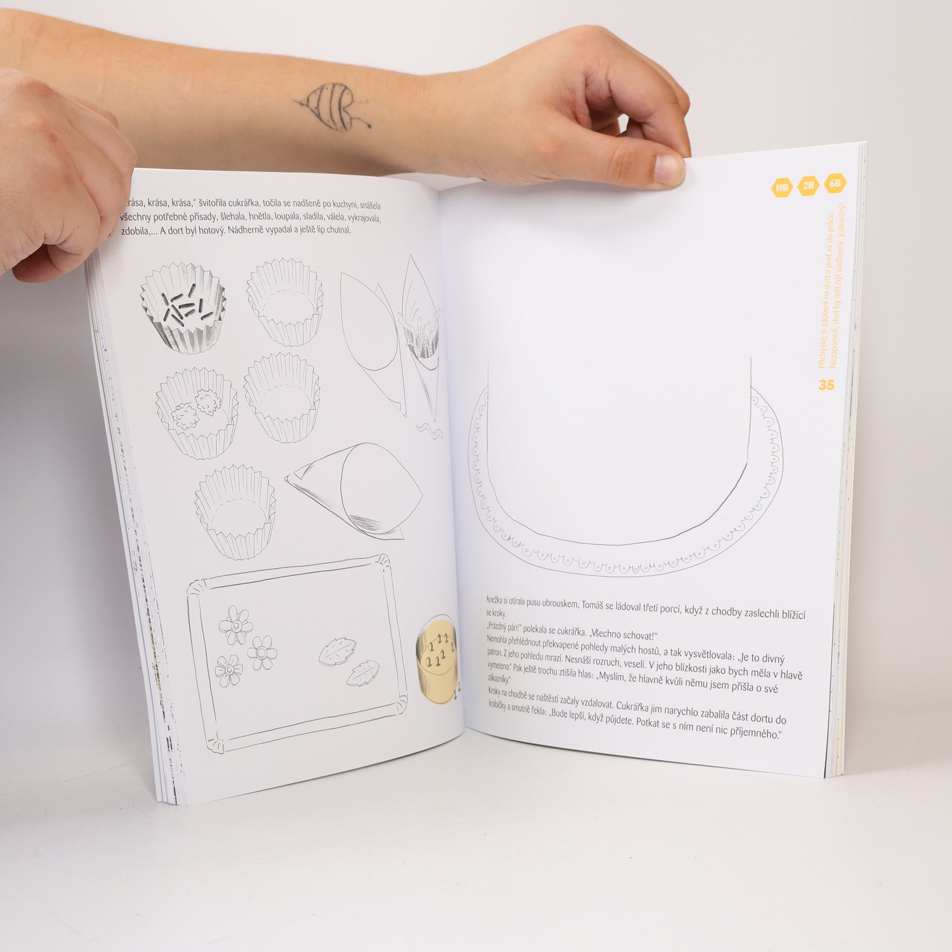 Ester Stará Dům za mlhou : kniha, do které se může - musí kreslit!