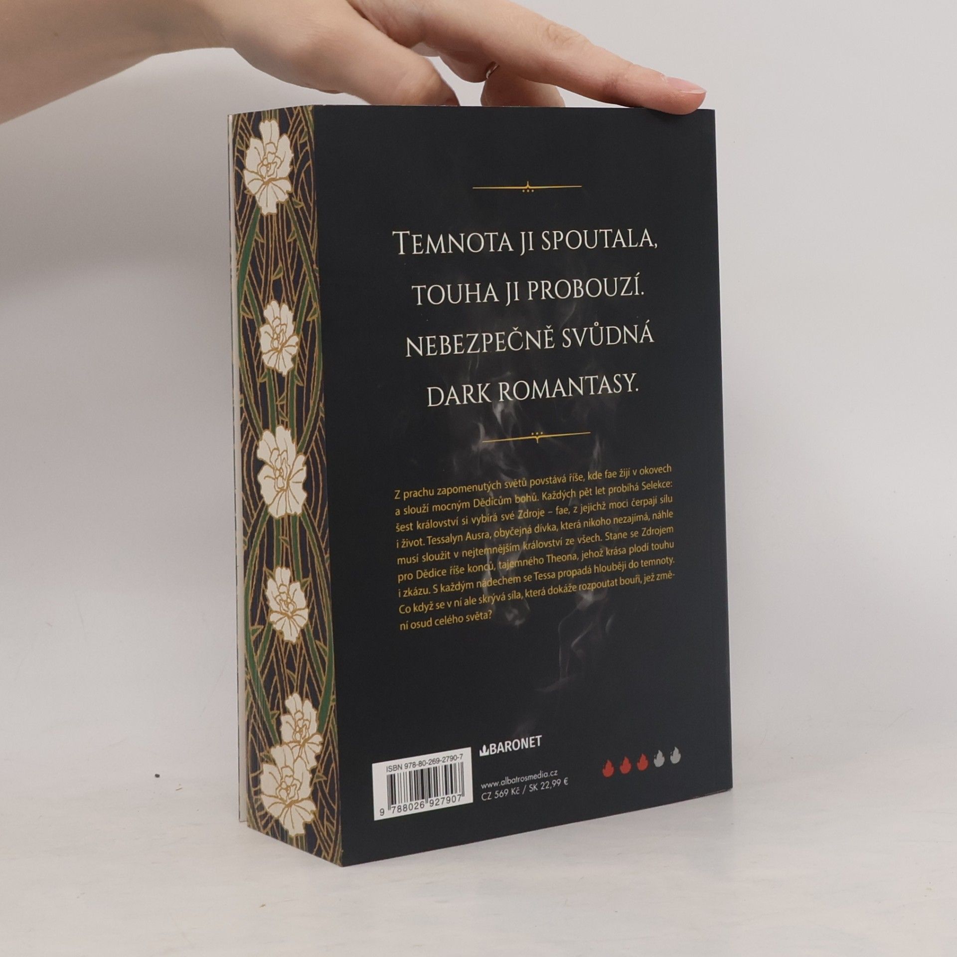 Melissa K. Roehrich Déšť stínů a konců