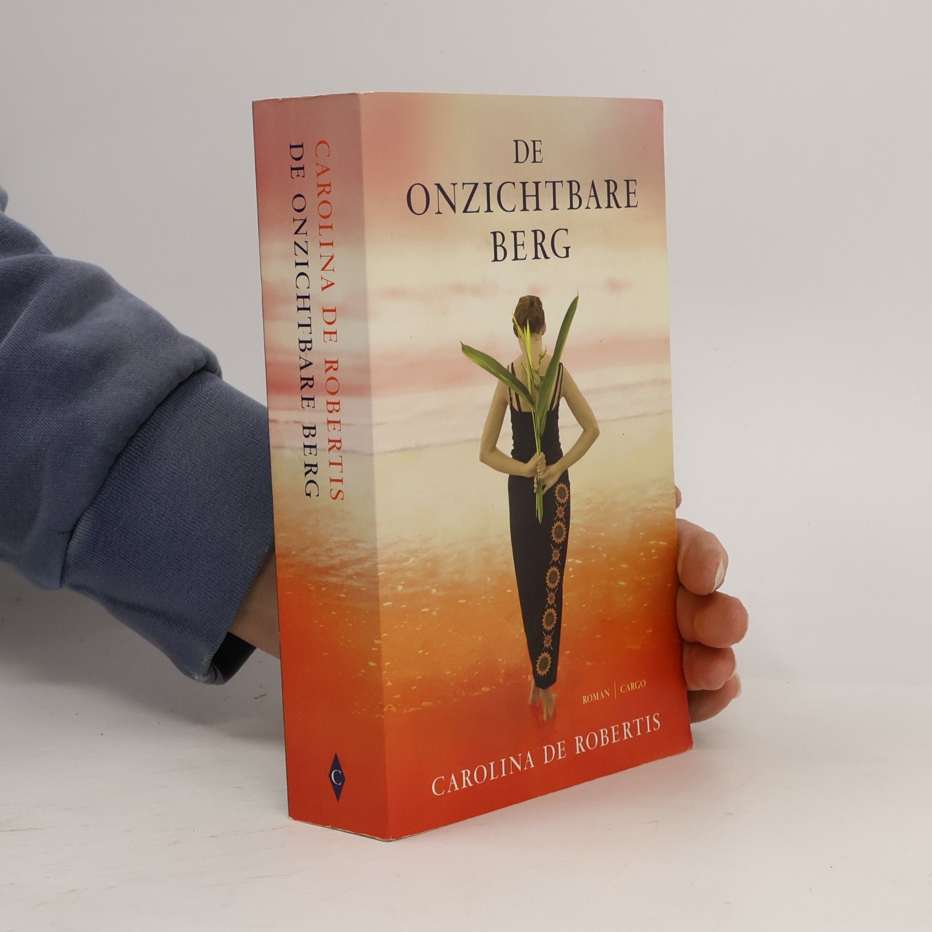 De onzichtbare berg / druk 1
