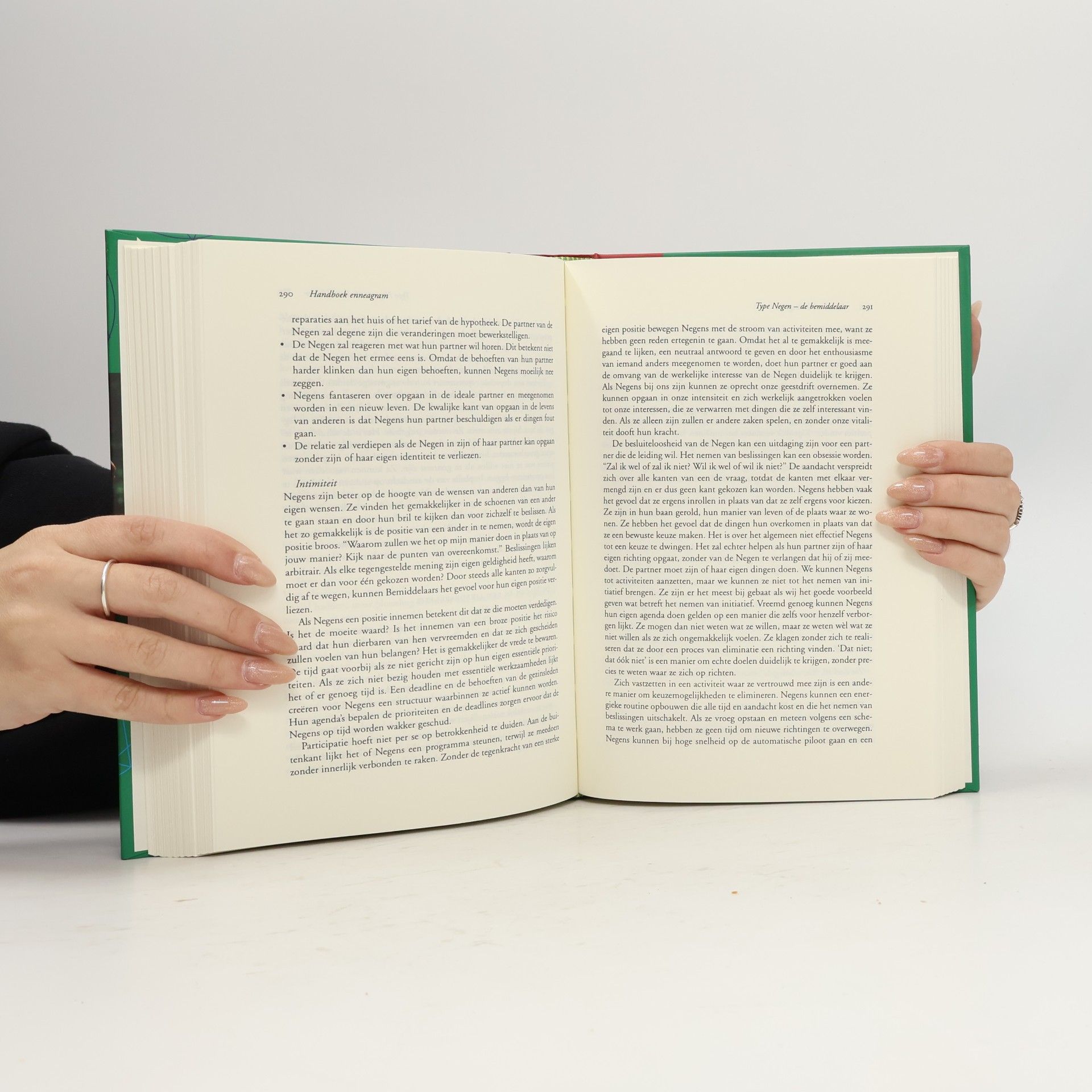 Helen Palmer Servire handboeken: Handboek enneagram