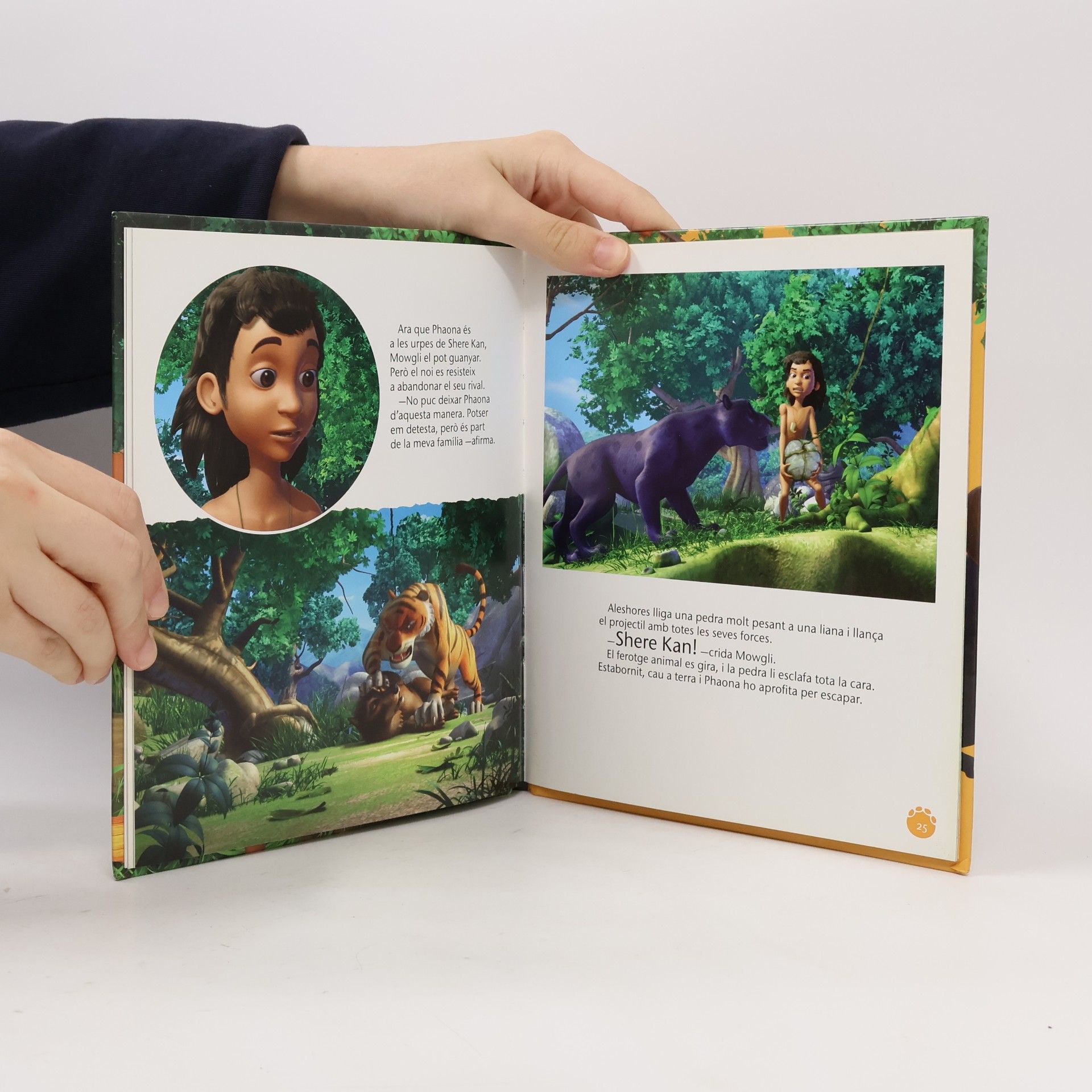 VV. AA. El llibre de la selva: La gran cursa