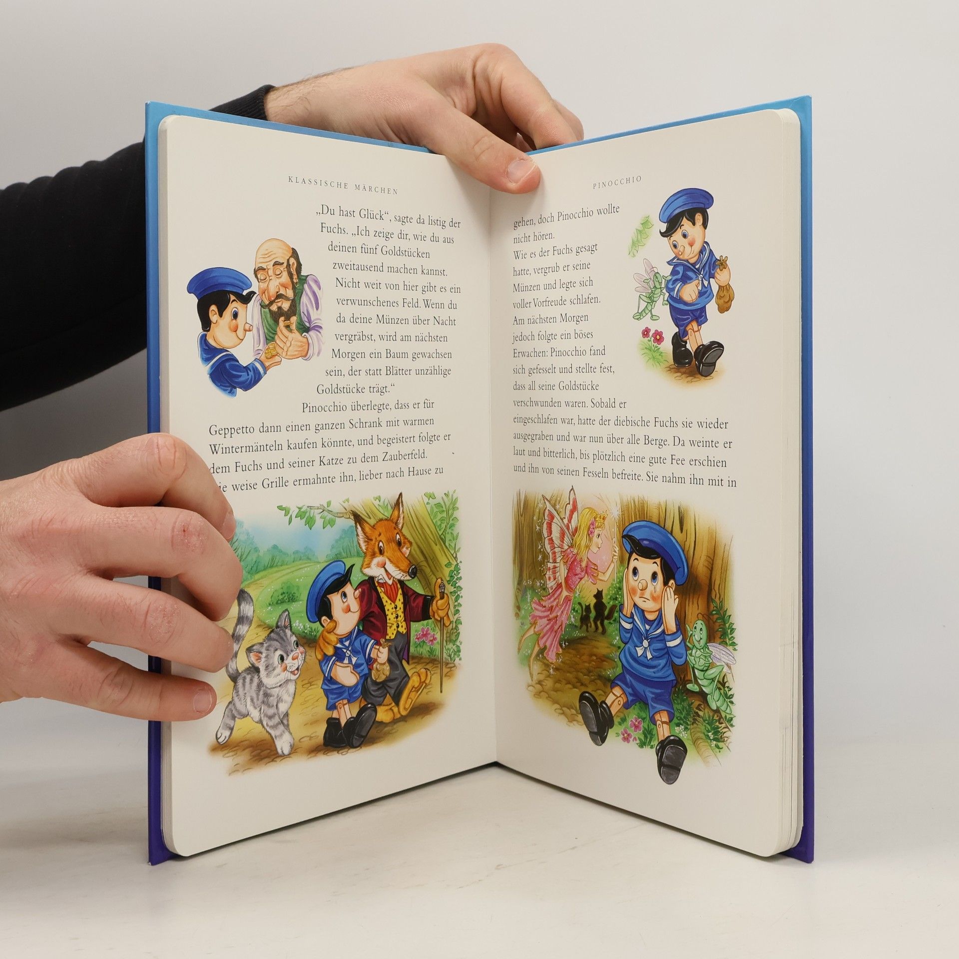 Mein schönstes Märchenbuch