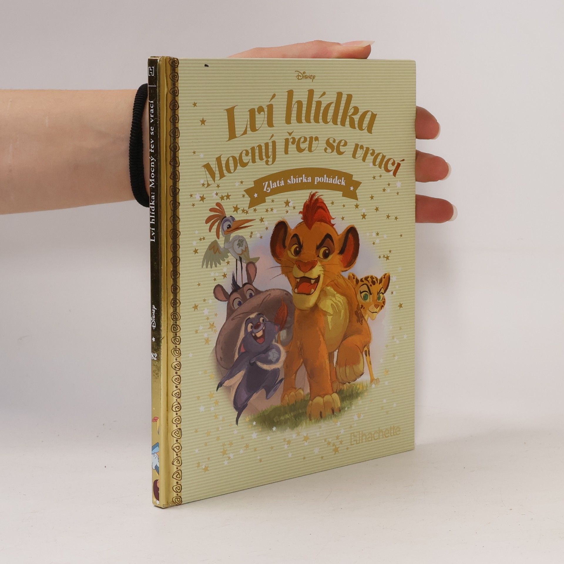 Kolektiv autorů Lví hlídka 82