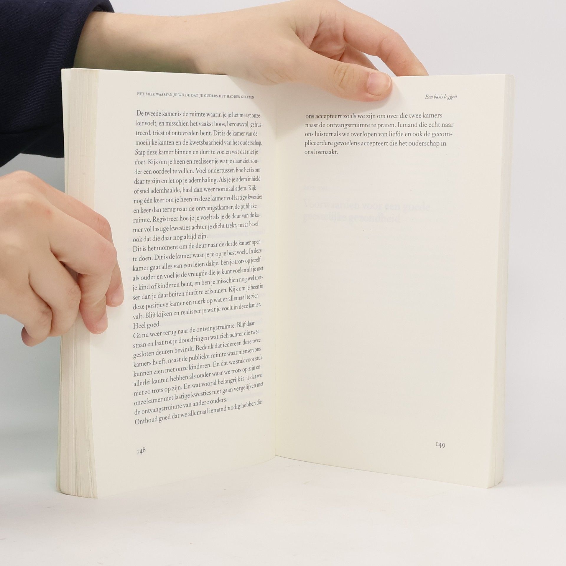 Philippa Perry Het boek waarvan je wilde dat je ouders het hadden gelezen (en je kinderen blij zijn dat jij het doet) - uitgebreide editie