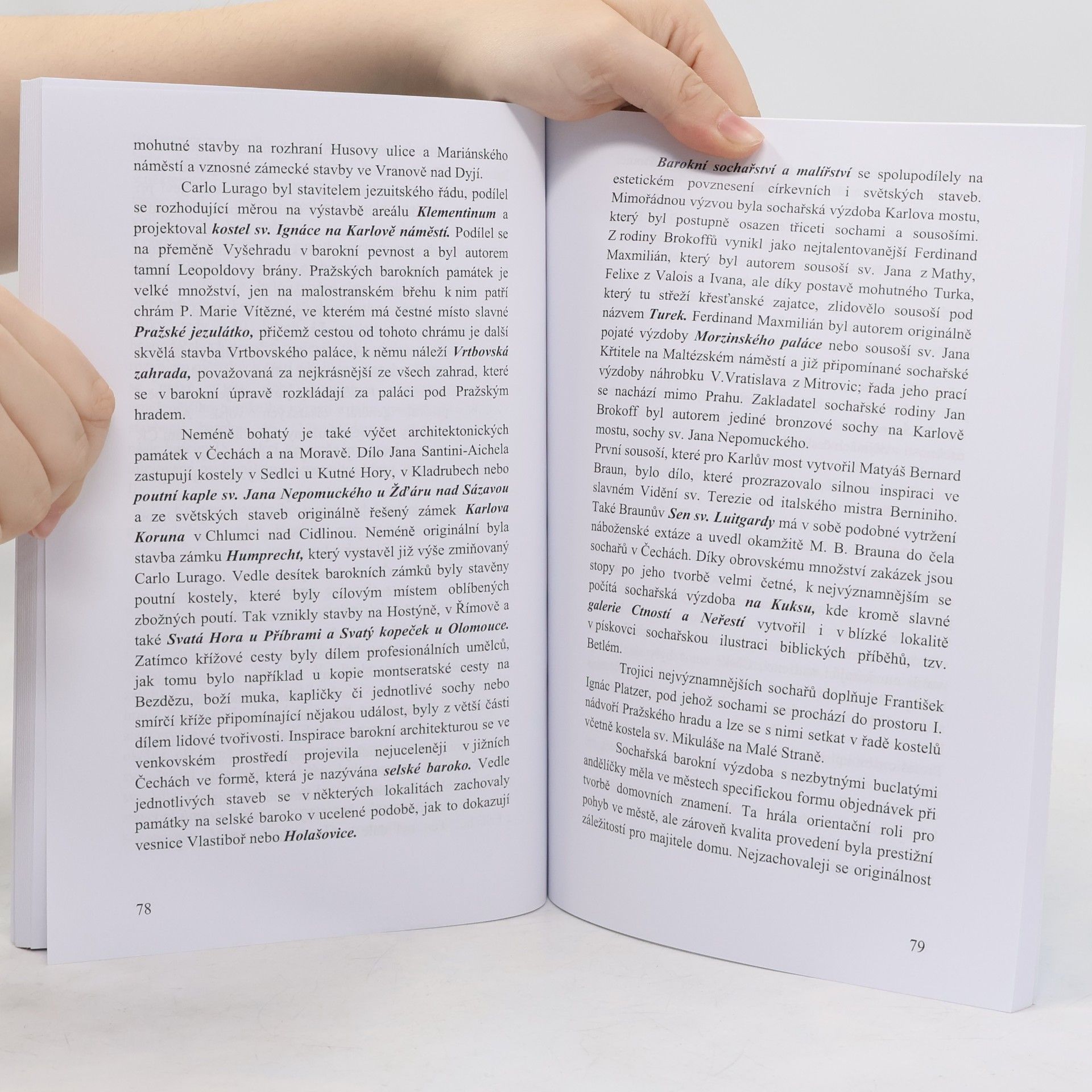 Jana Oliveriusová Nástin dějin kultury