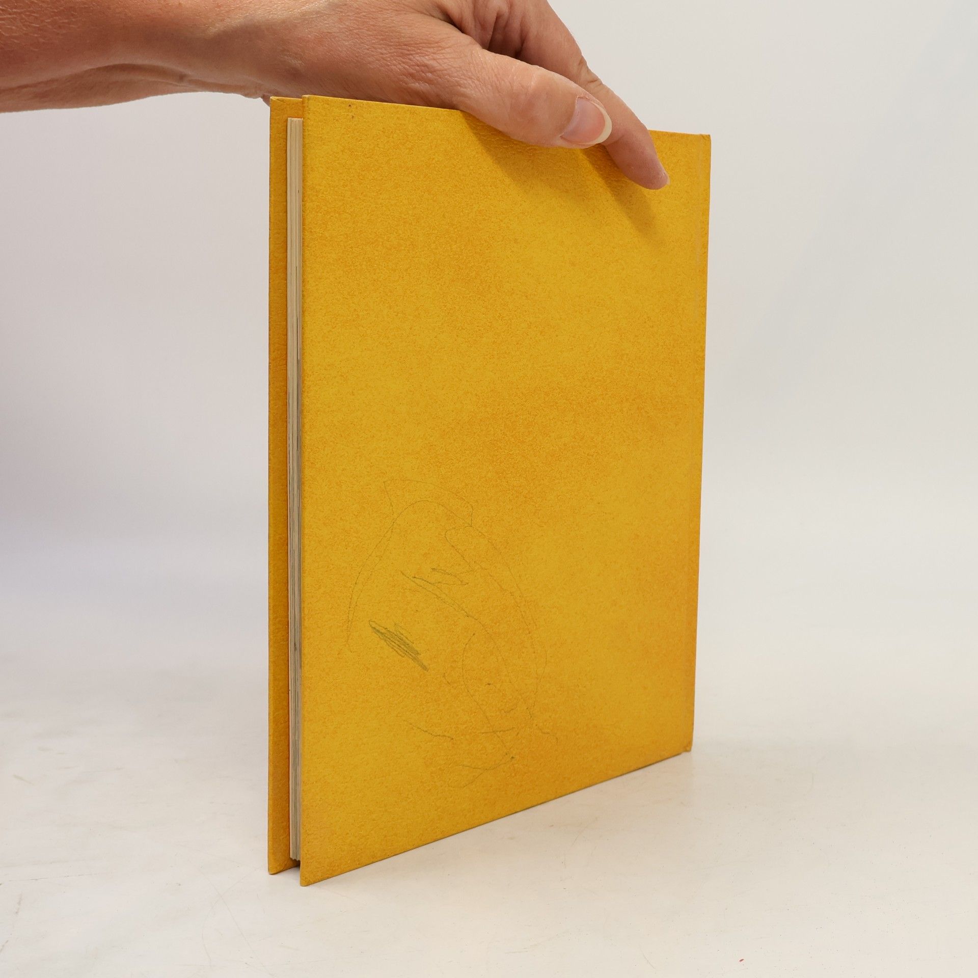 Autorenkollektiv Mein Buch mit biblischen Geschichten