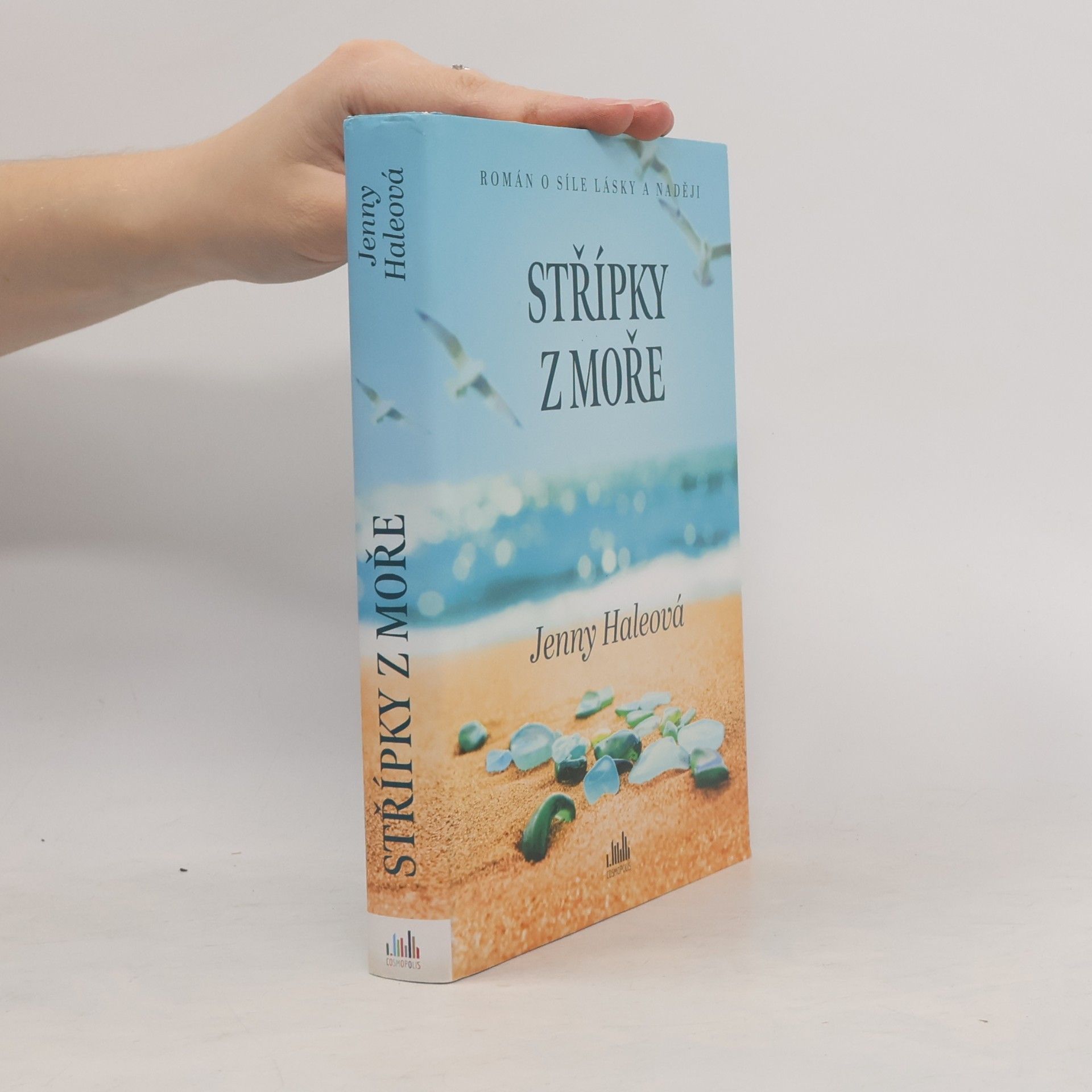 Jenny Hale Střípky z moře