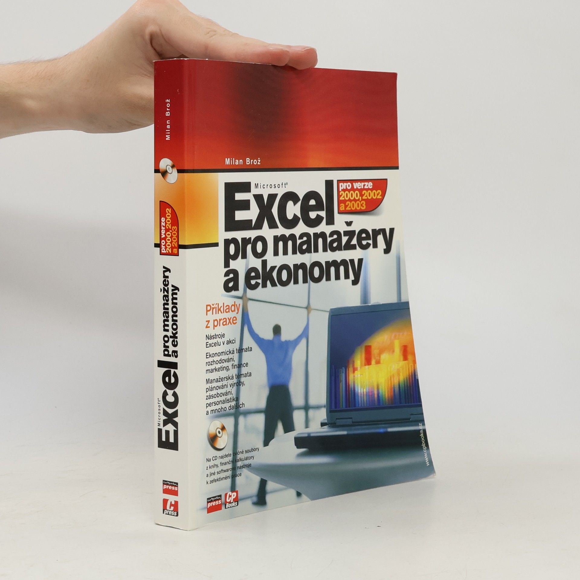 Microsoft Excel pro manažery a ekonomy: Pro verze 2000, 2002 a 2003