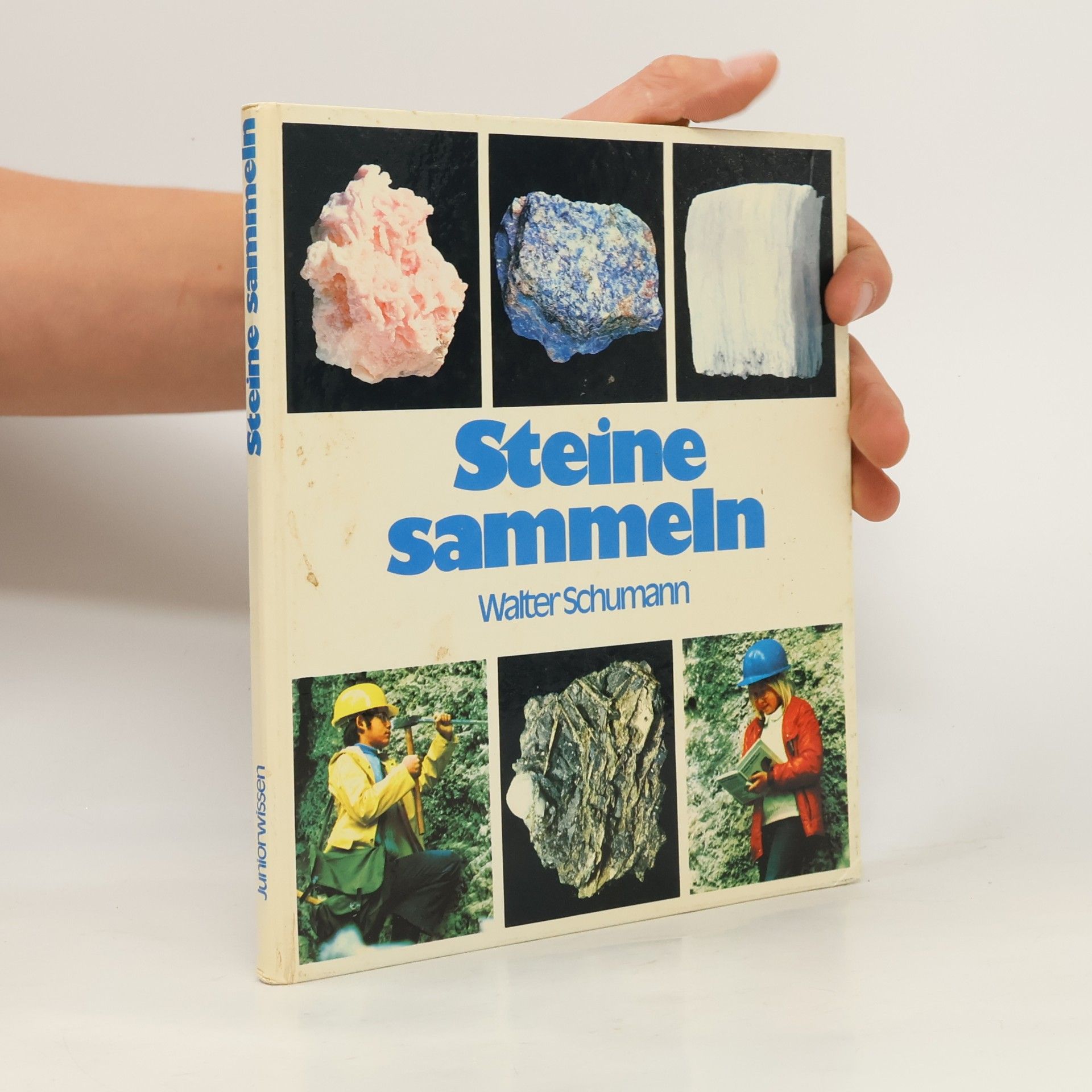 Steine sammeln