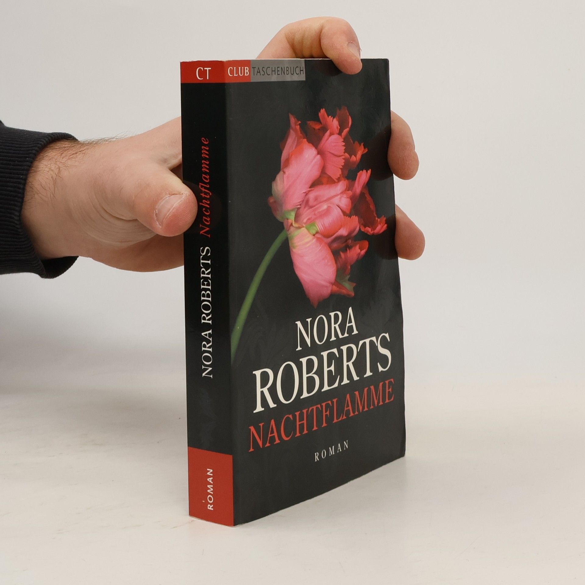 Nora Roberts Nachtflamme
