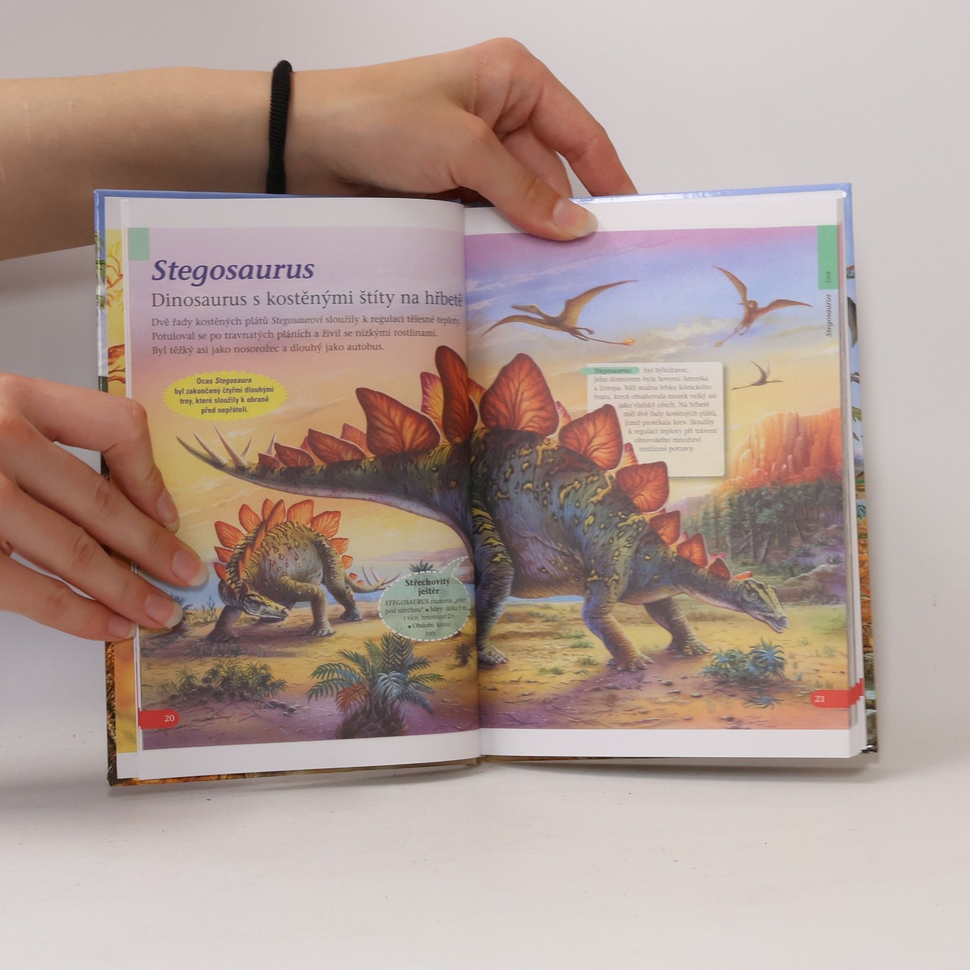 Autorenkollektiv Poznej dinosaury