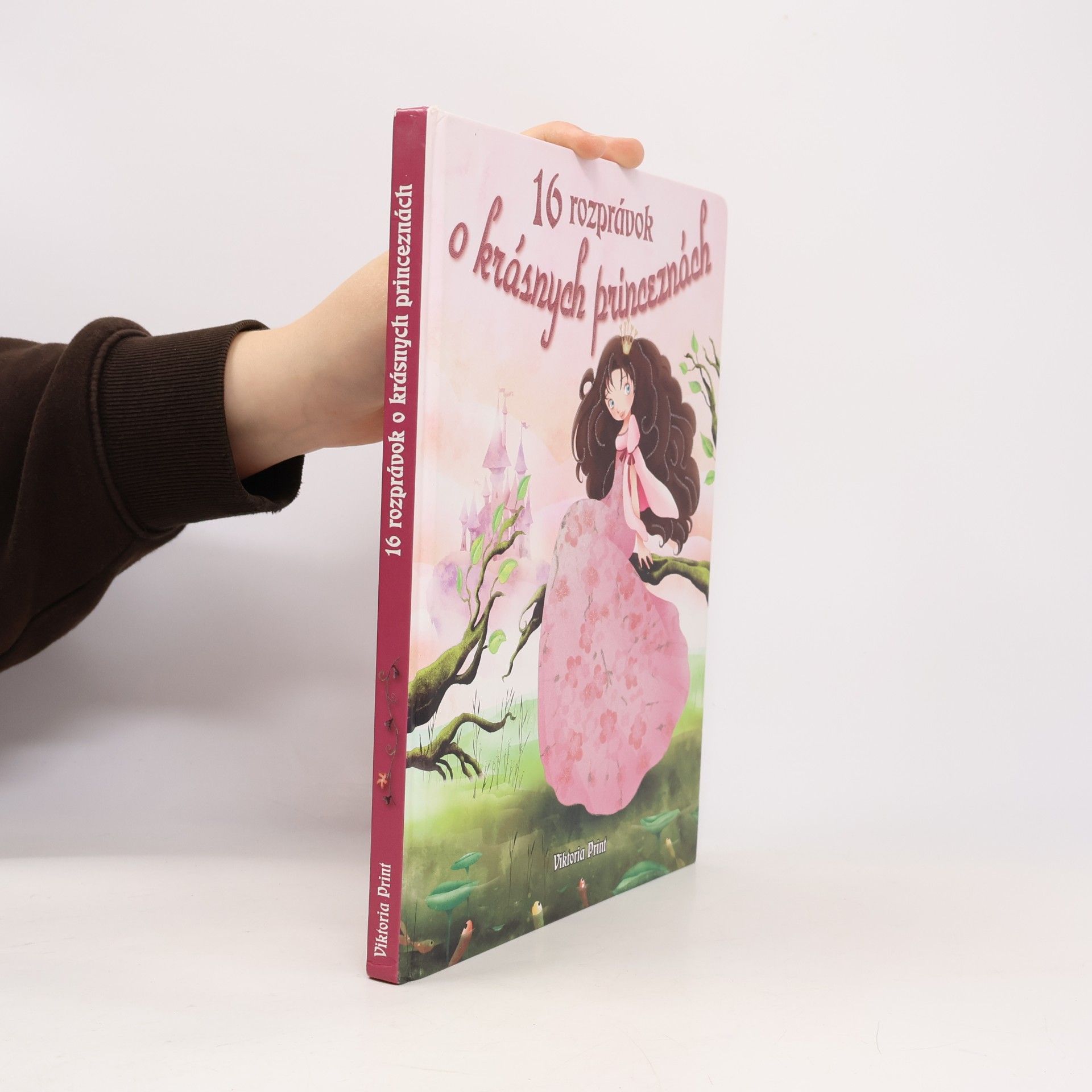 Various authors 16 rozprávok o krásnych princeznách