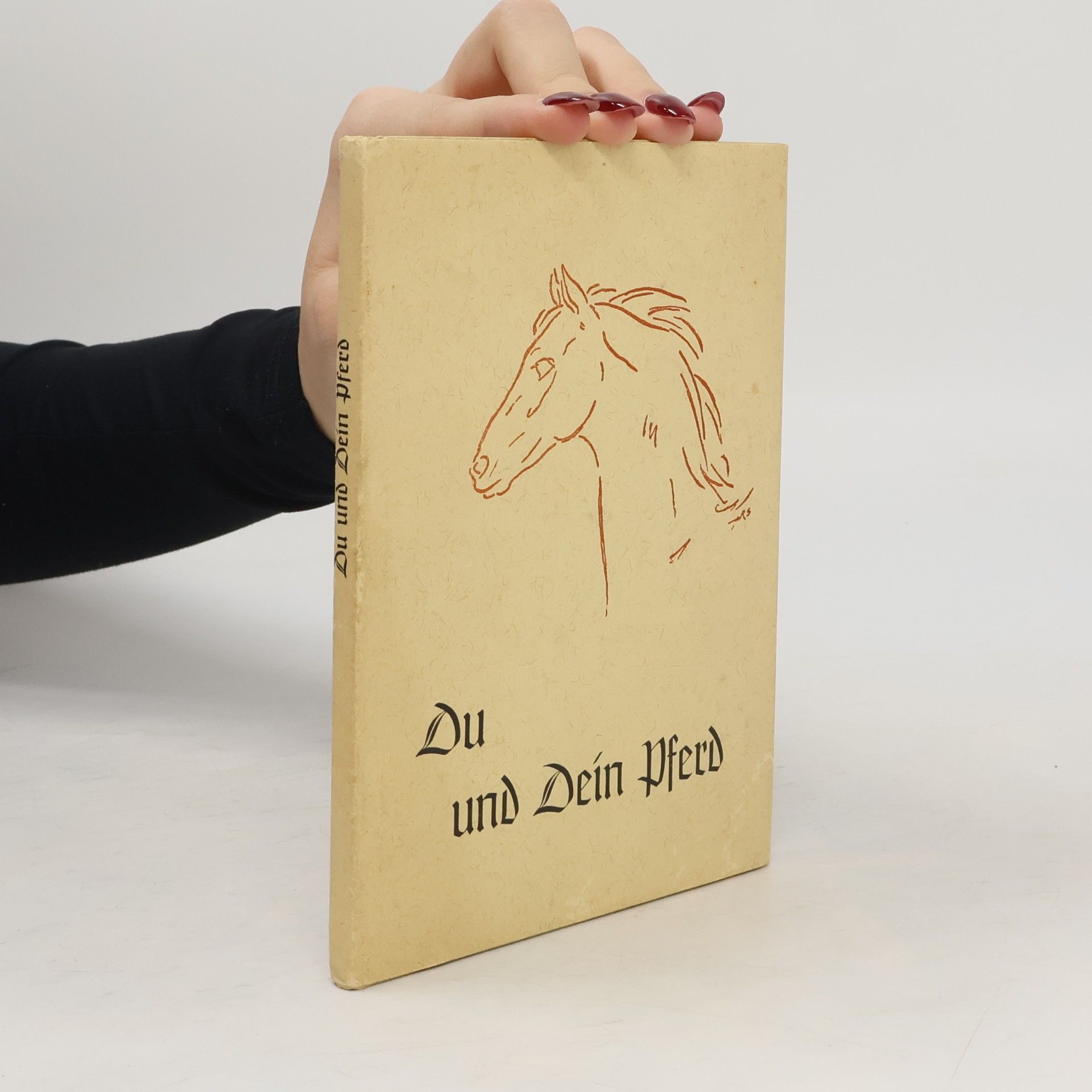 Du und dein Pferd