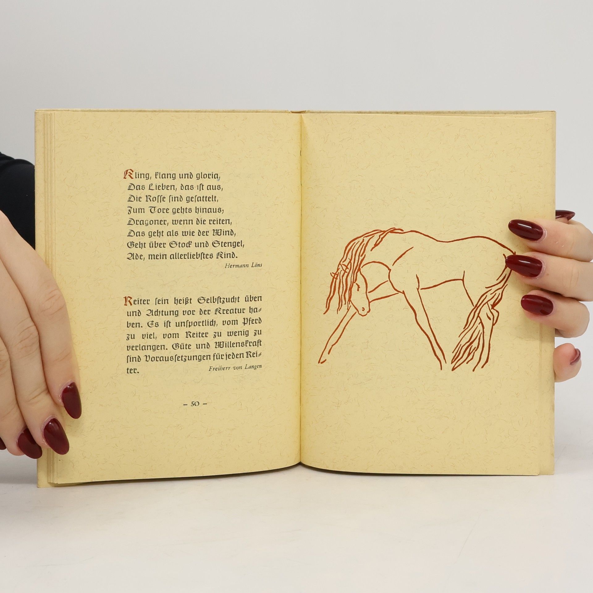 Otto Dikreiter Du und dein Pferd