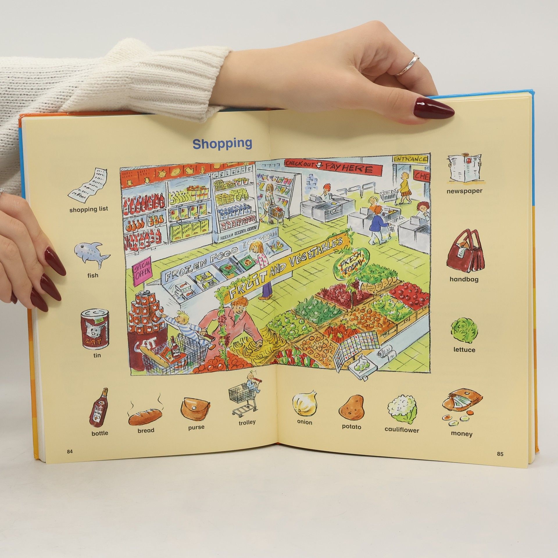 Karen Richardson Grundschul-wörterbuch Englisch