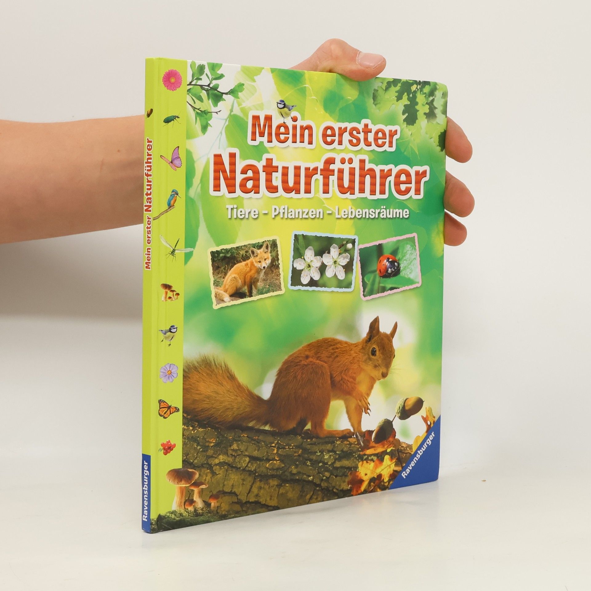 Autorenkollektiv Mein erster Naturführer