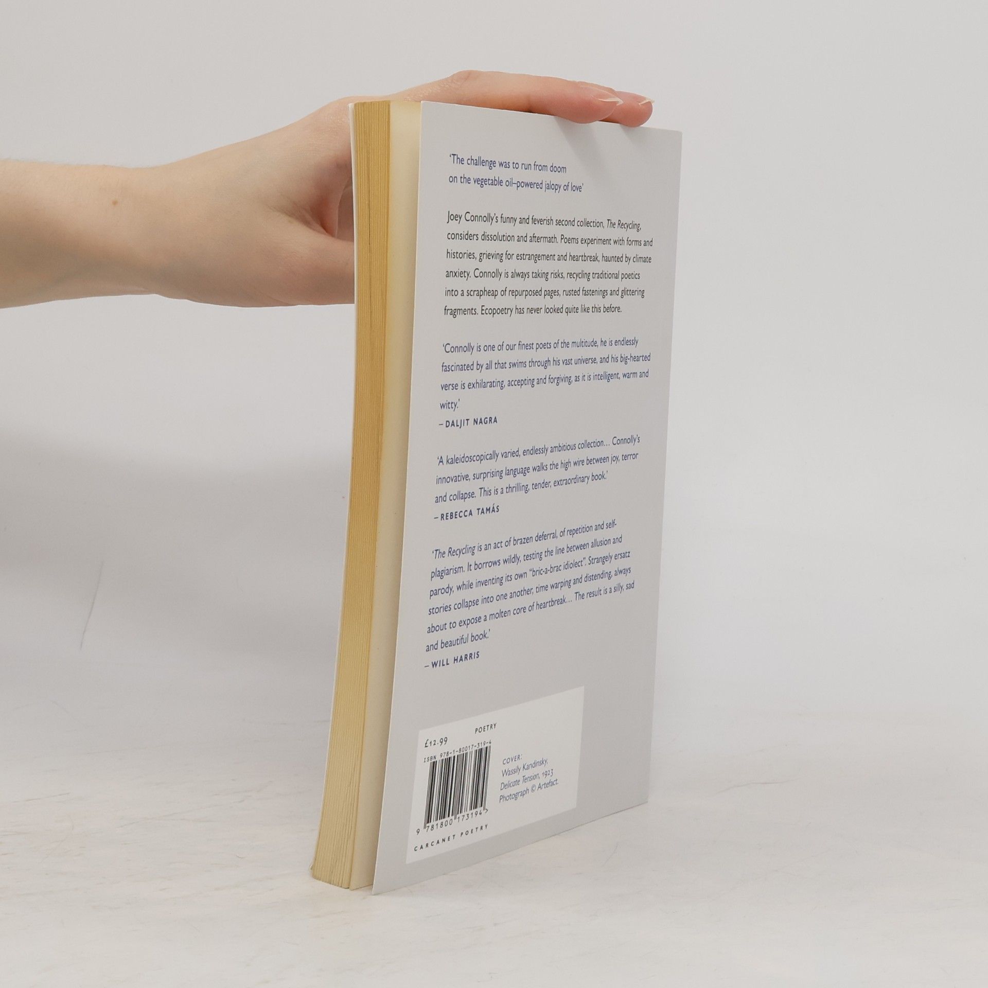 Joyce Connolly Carcanet Poetry: The Recycling