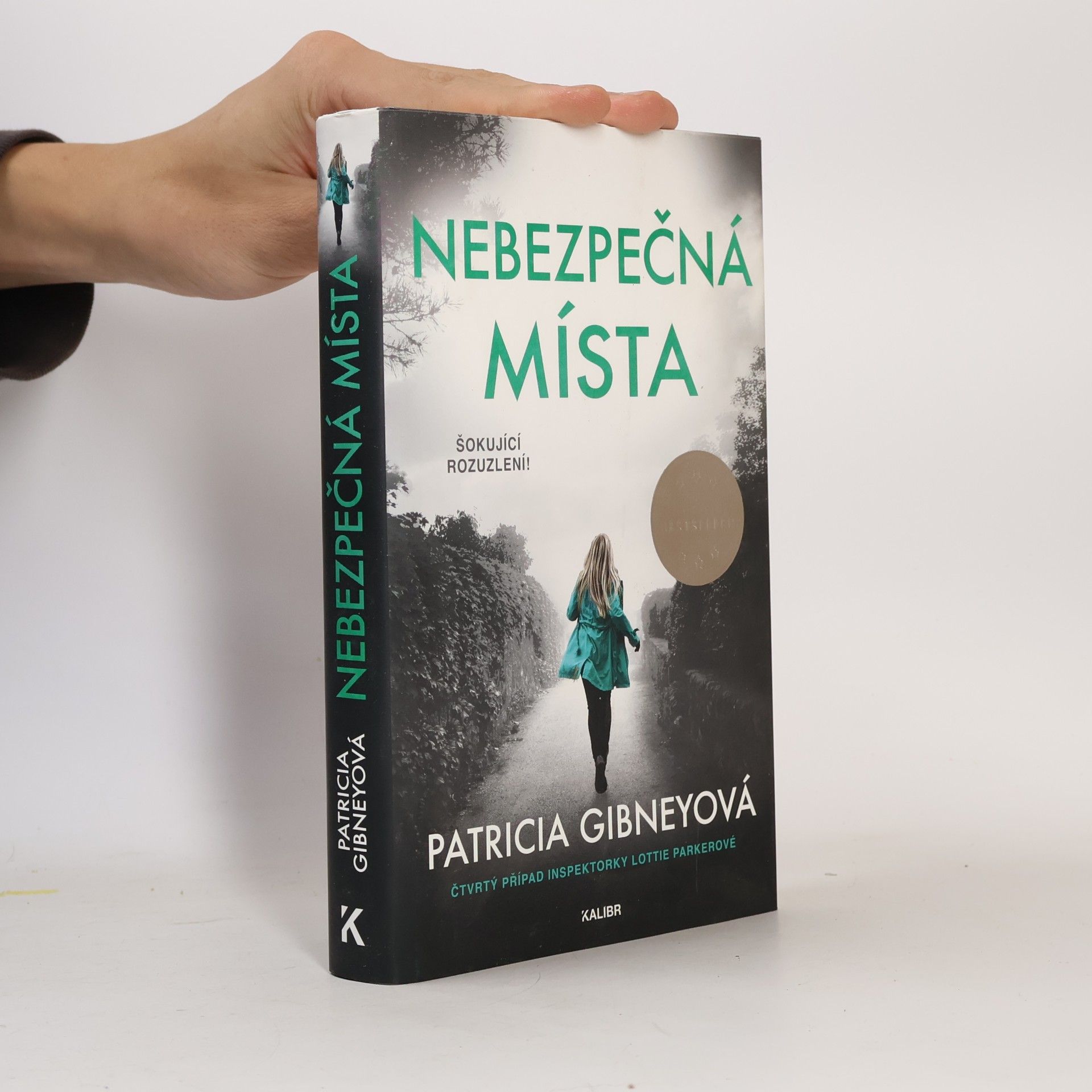 Patricia Gibney Nebezpečná místa