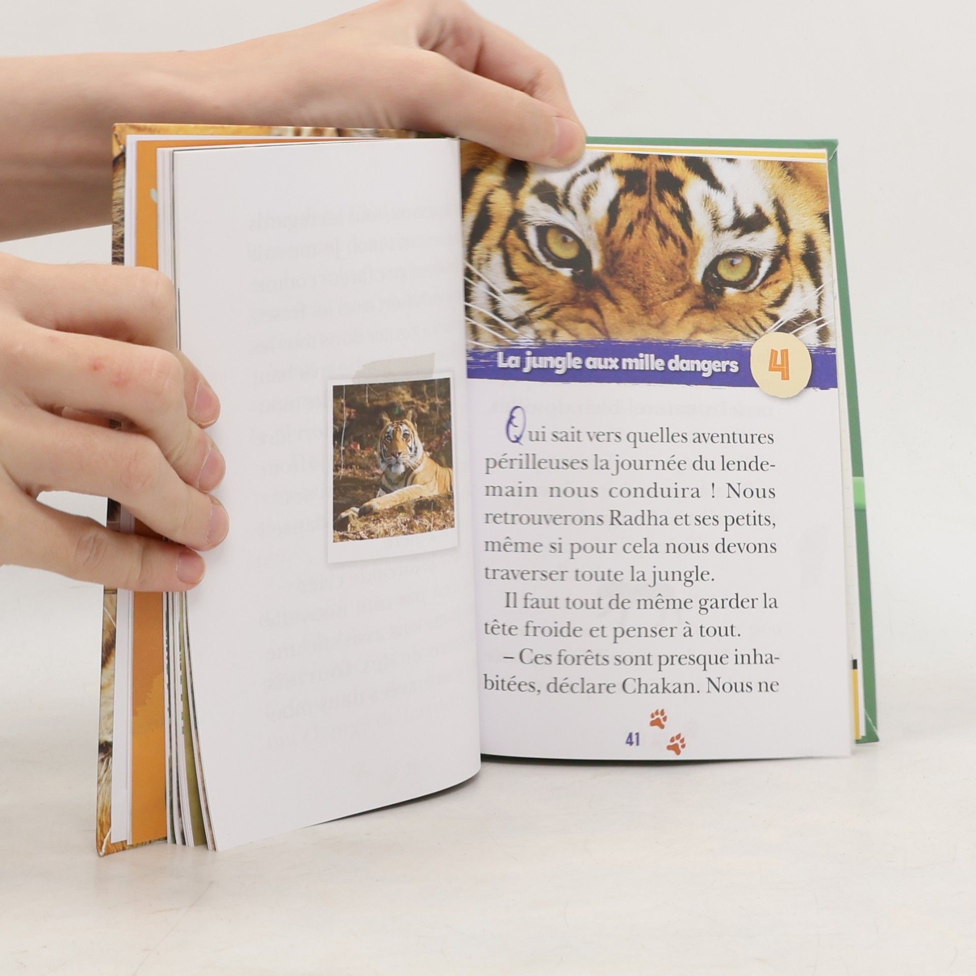 Pascal Ruter Wild Immersion - 2: Expédition au pays des tigres