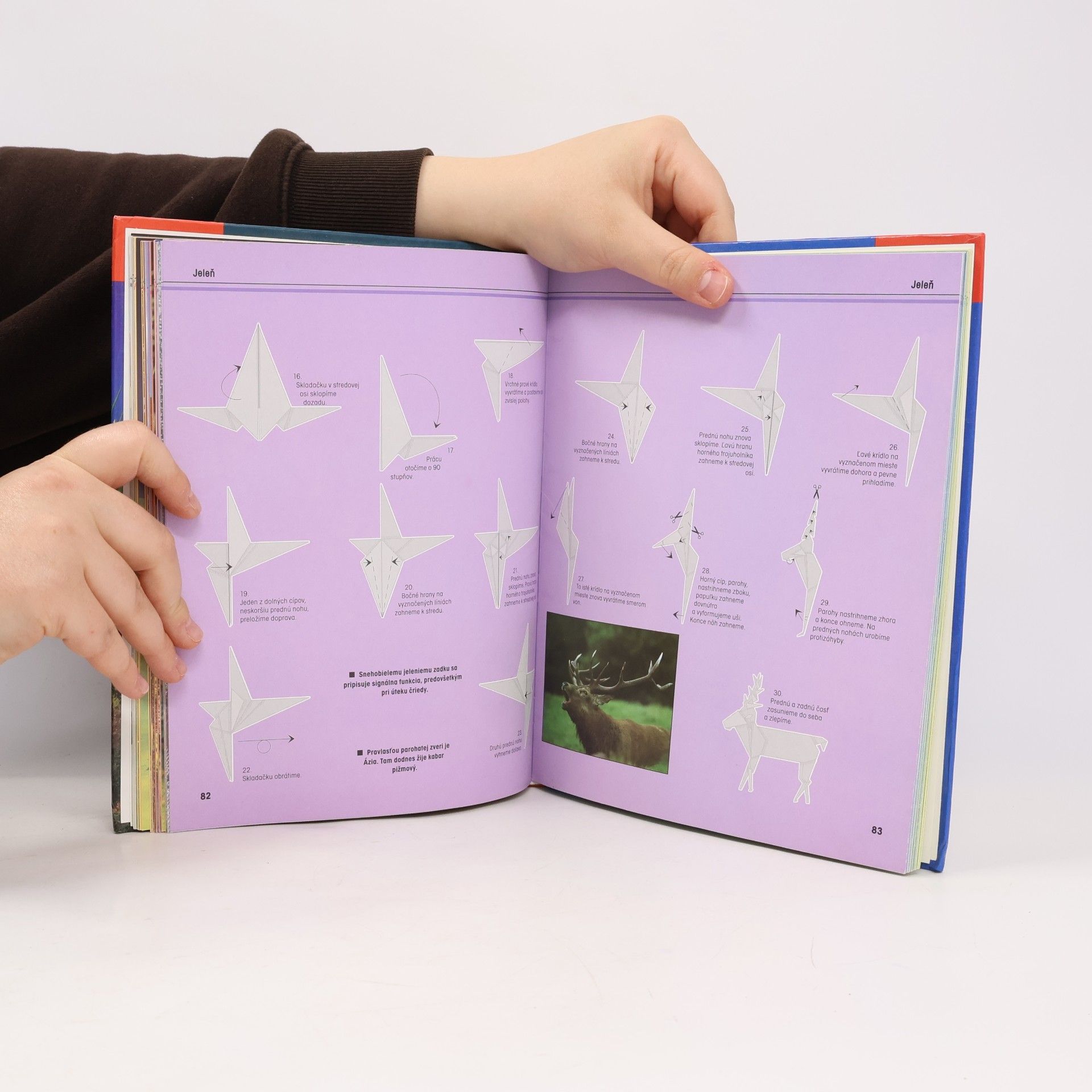 Héctor Rojas F Origami: Ríša zvierat