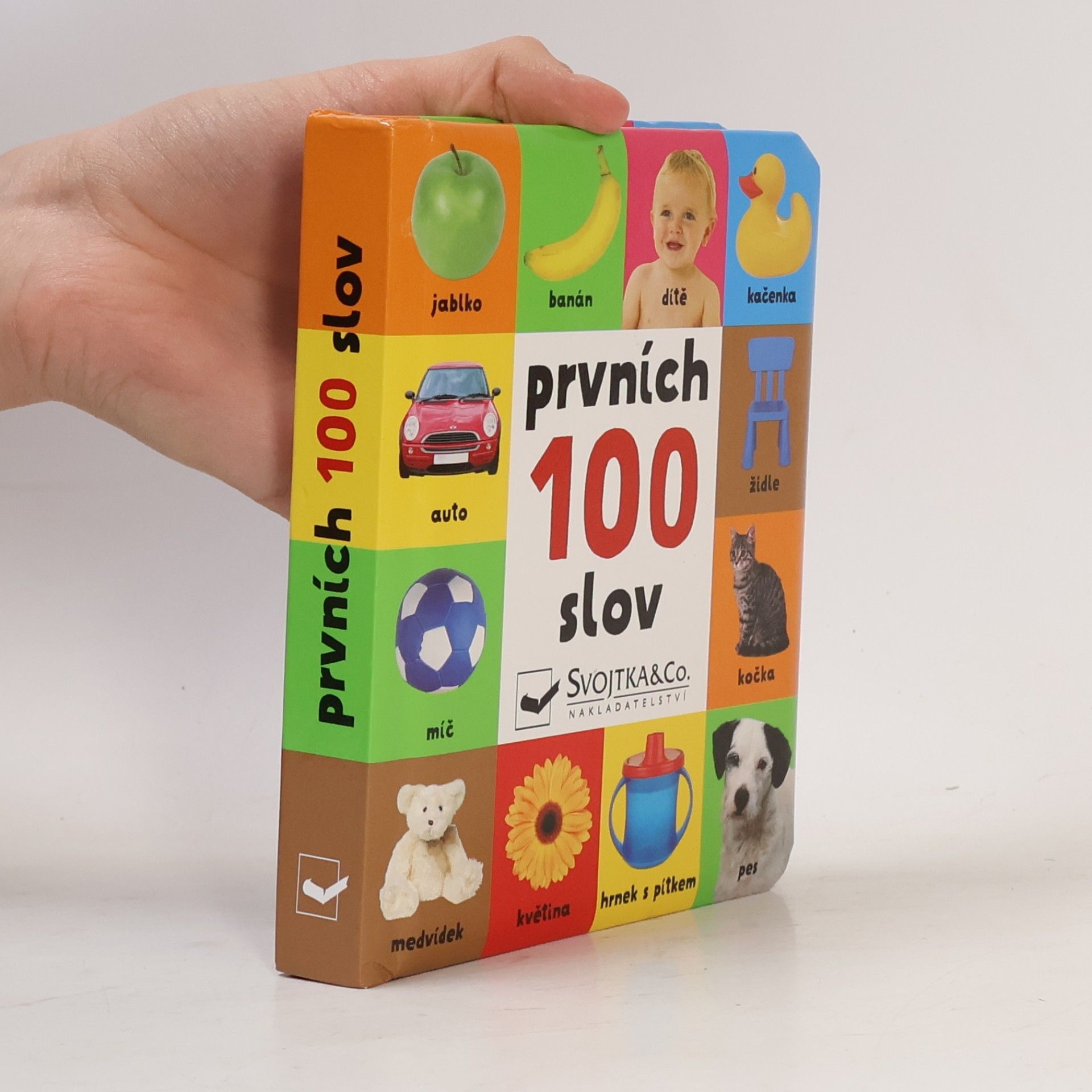 Autores varios Prvních 100 slov