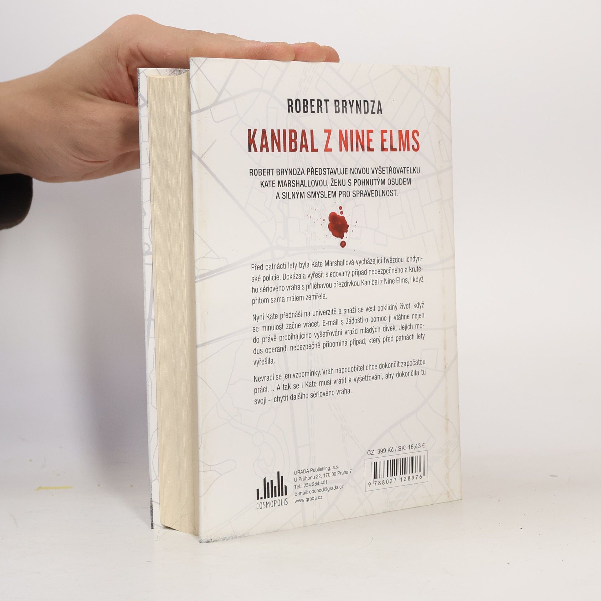 Robert Bryndza Kanibal z Nine Elms