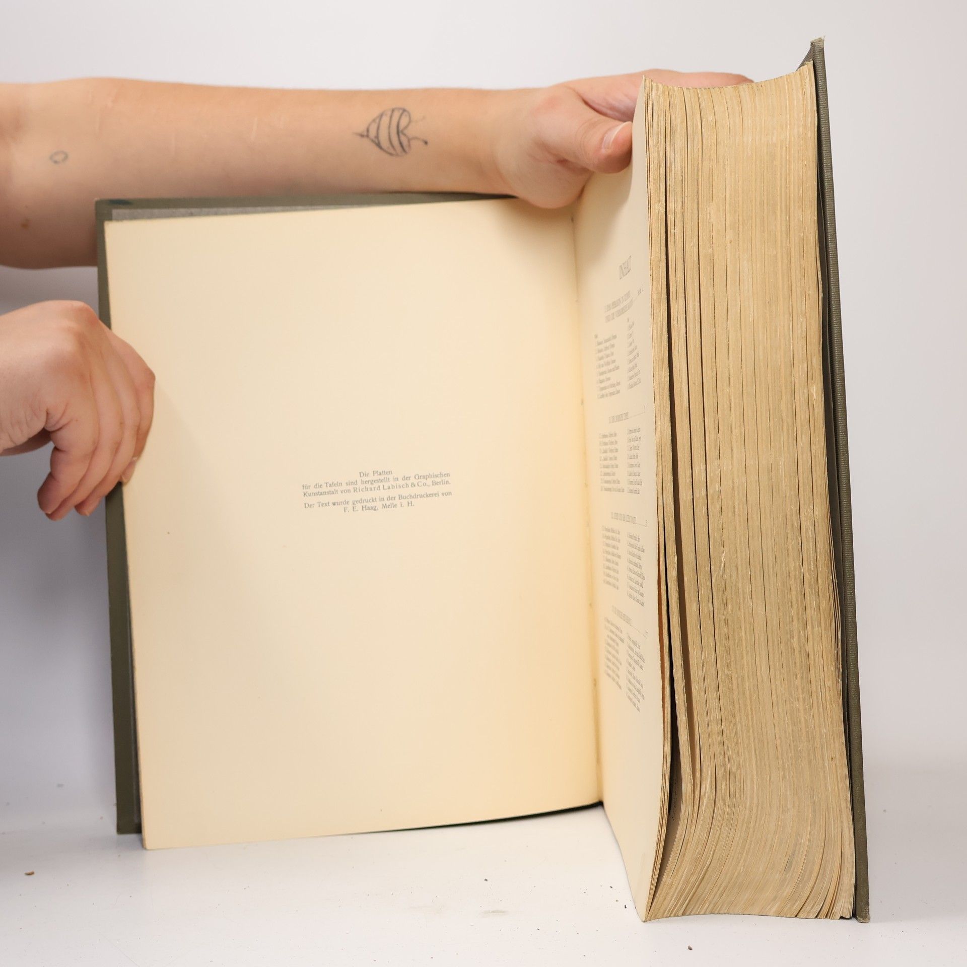 Autorenkollektiv Allgemeine Geschichte der Kunst