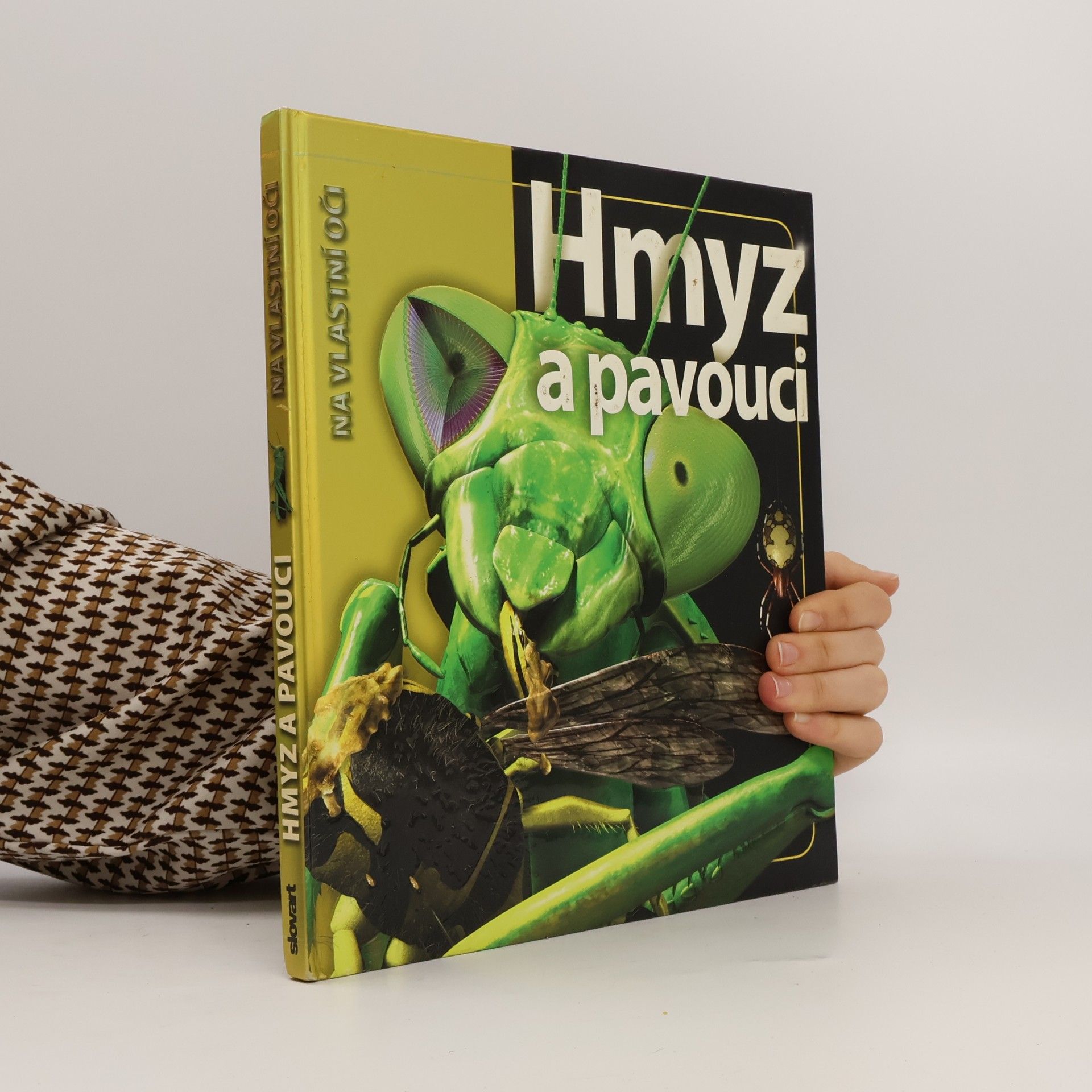 Hmyz a pavouci