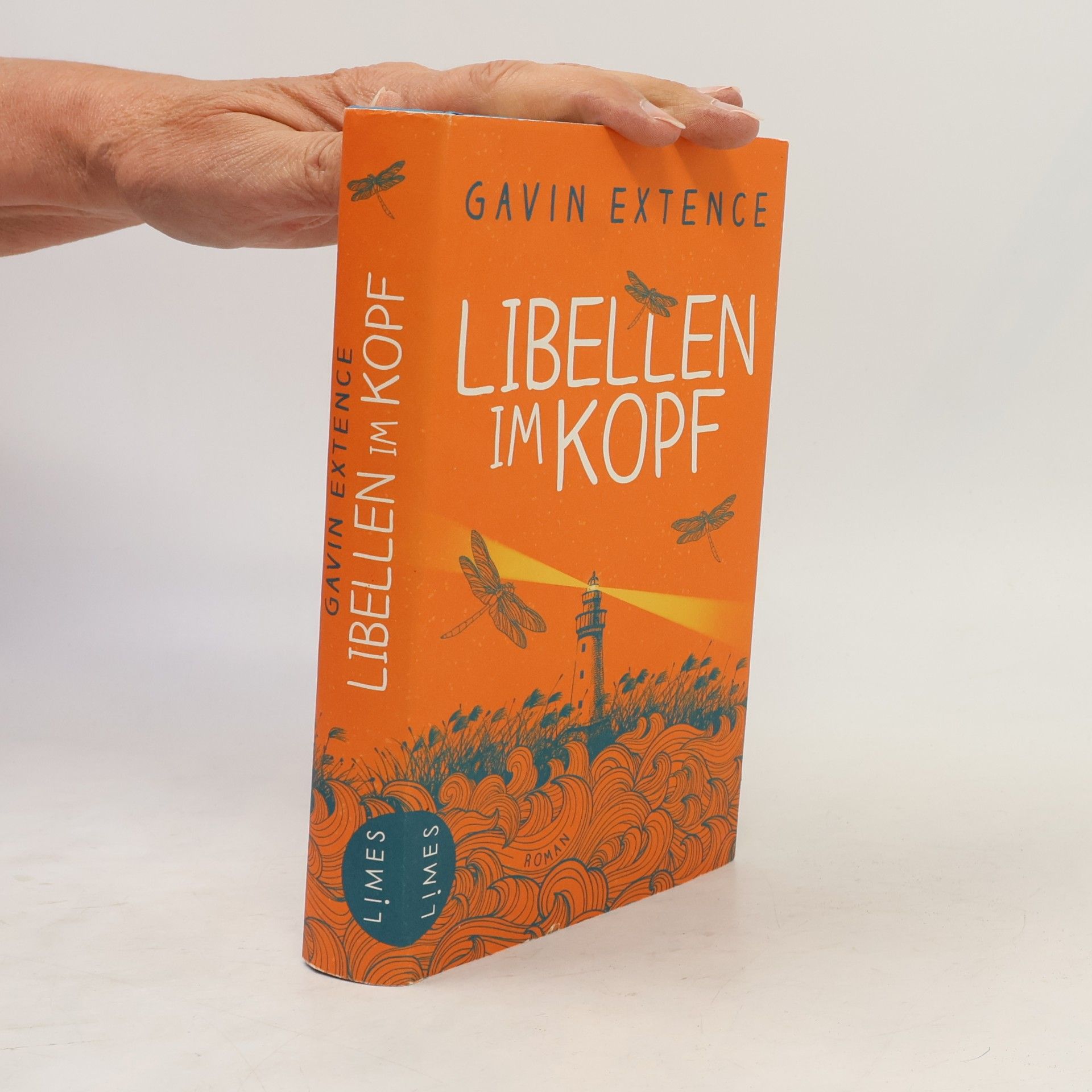 Gavin Extence Libellen im Kopf