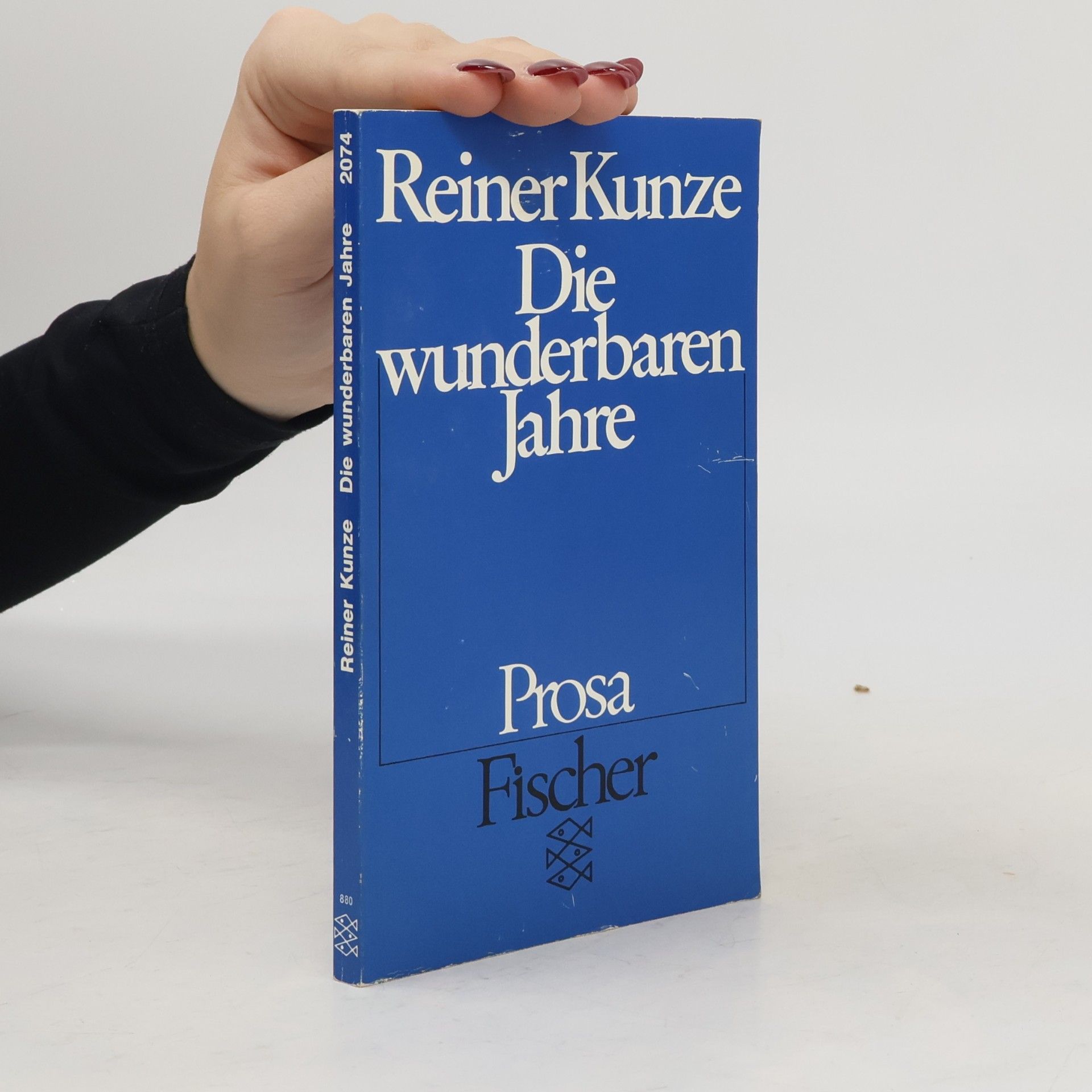 Die wunderbaren Jahre