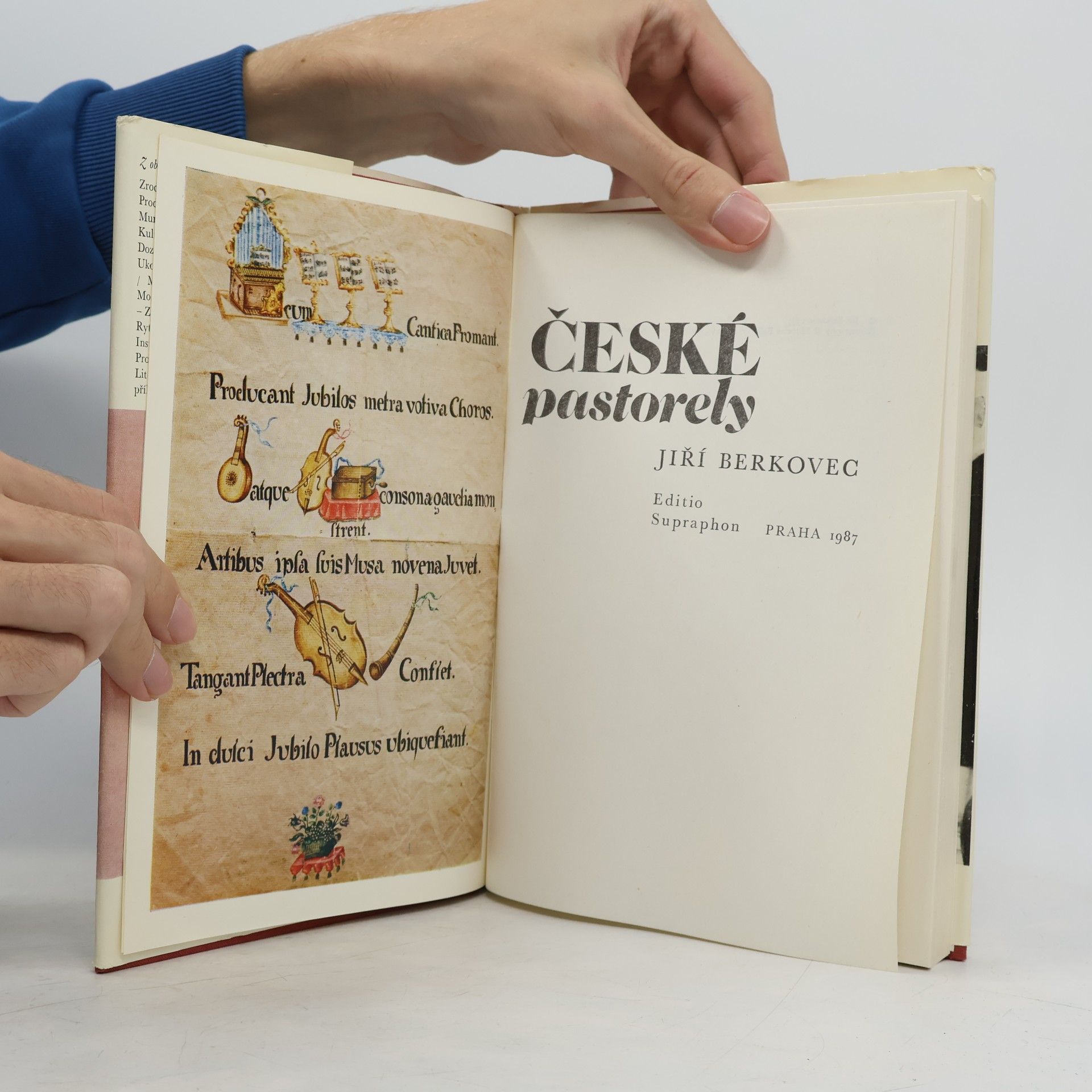 Kolektiv autorů České pastorely