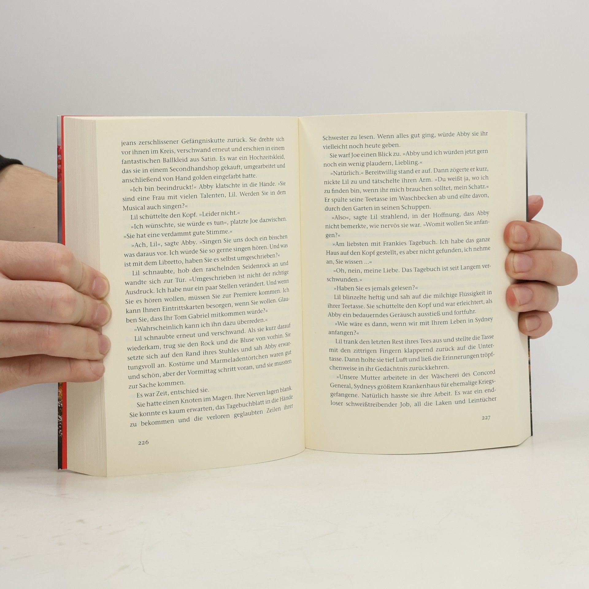 Roberto de Hollanda Das Dornental : roman