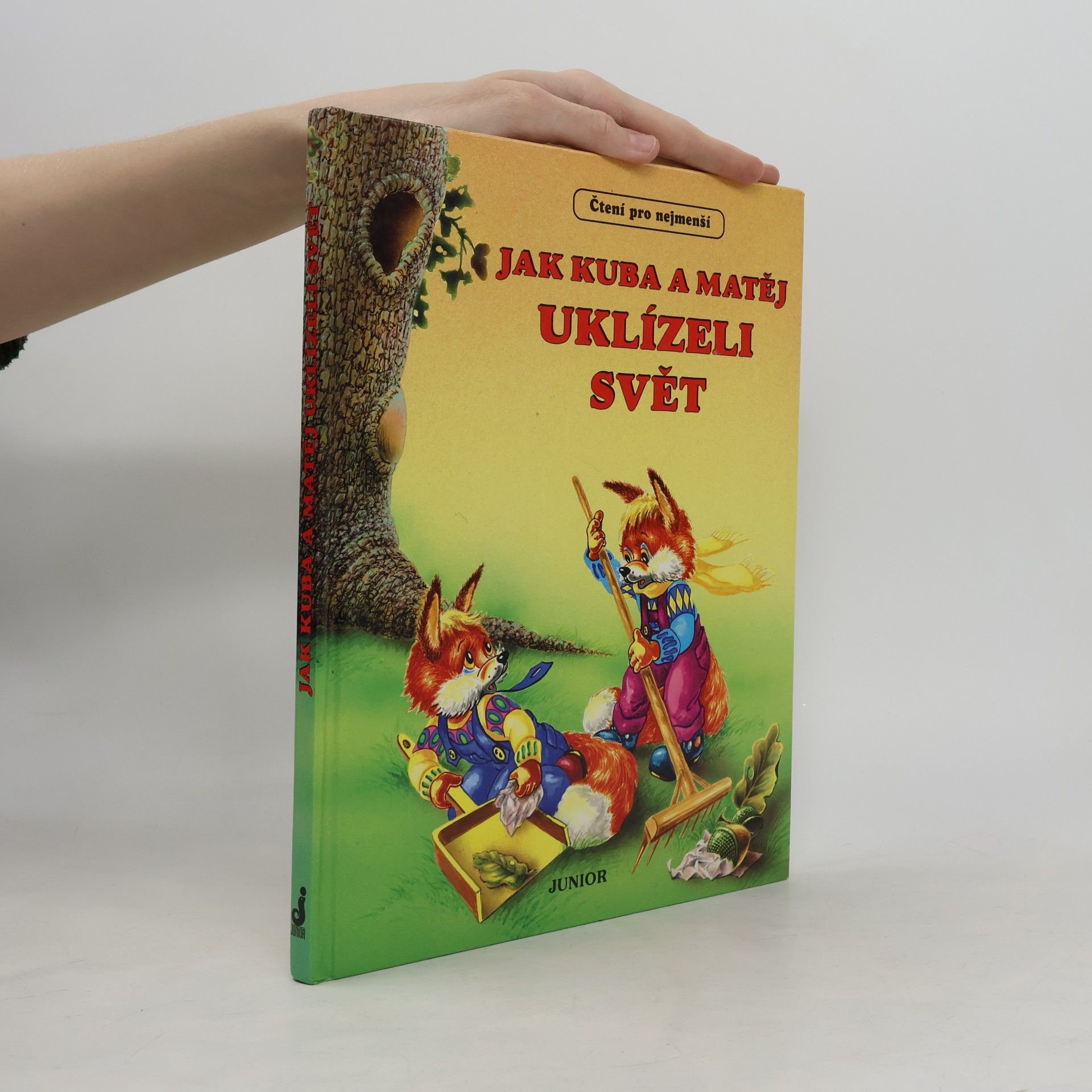 Autorenkollektiv Jak Kuba a Matěj uklízeli svět