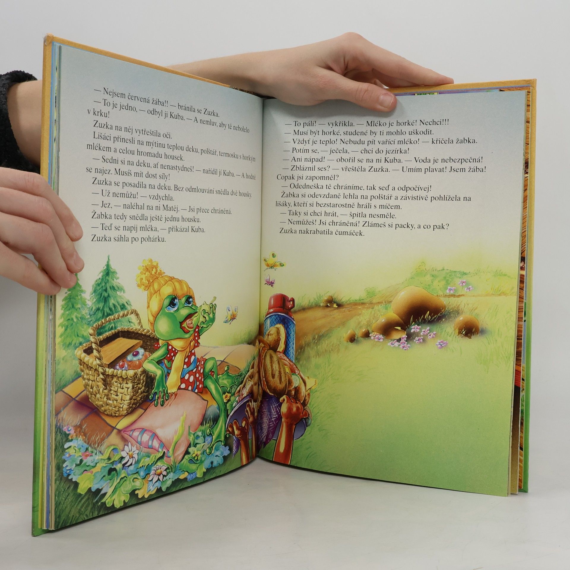 Autorenkollektiv Jak Kuba a Matěj uklízeli svět