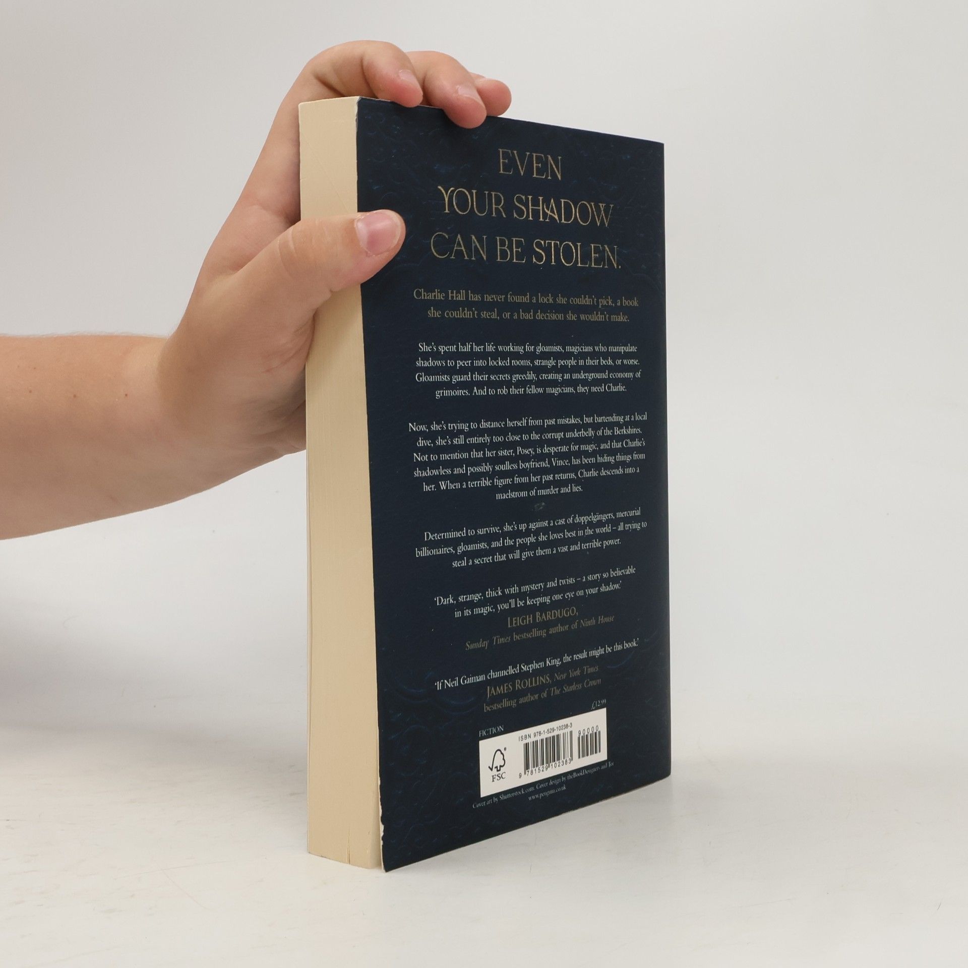 Holly Black Book of Night