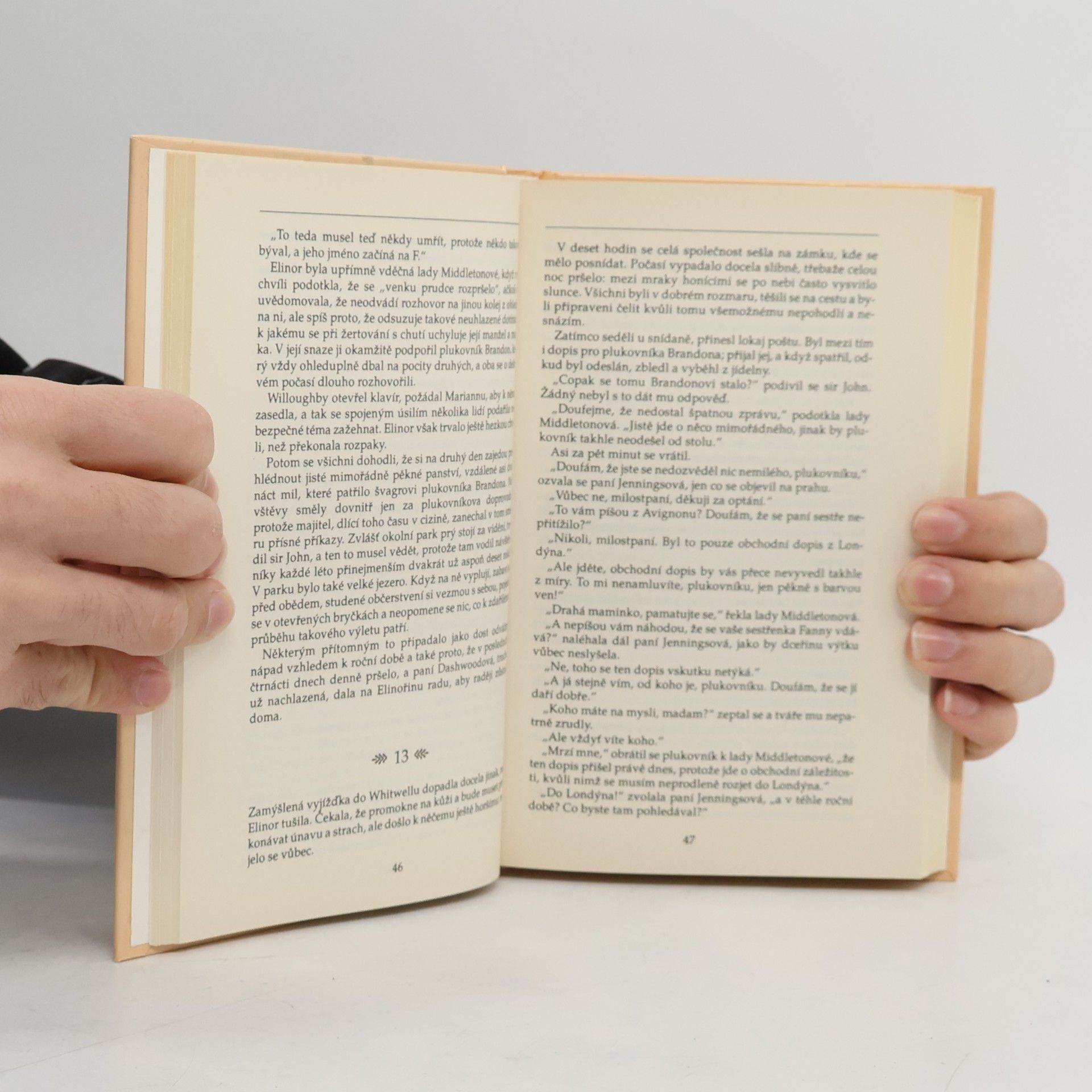 Jane Austen Rozum a cit