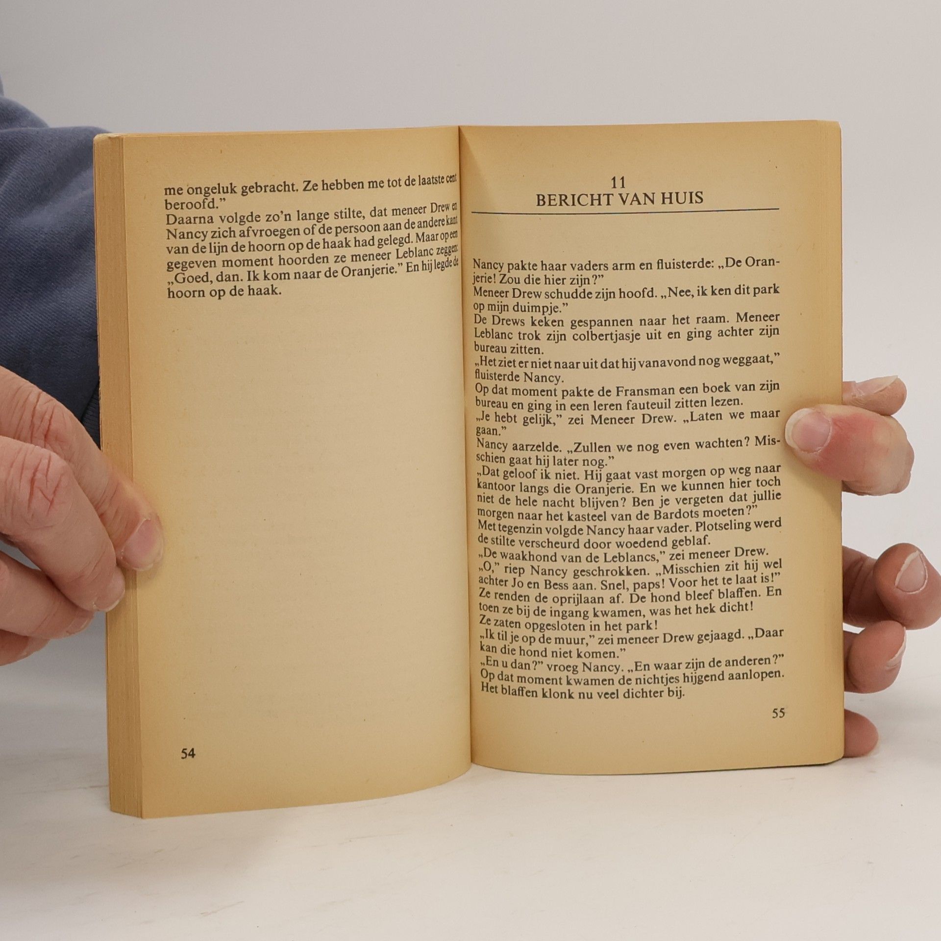 Carolyn Keene Tina boek - 4001: Nancy en het geheim van de 99 treden