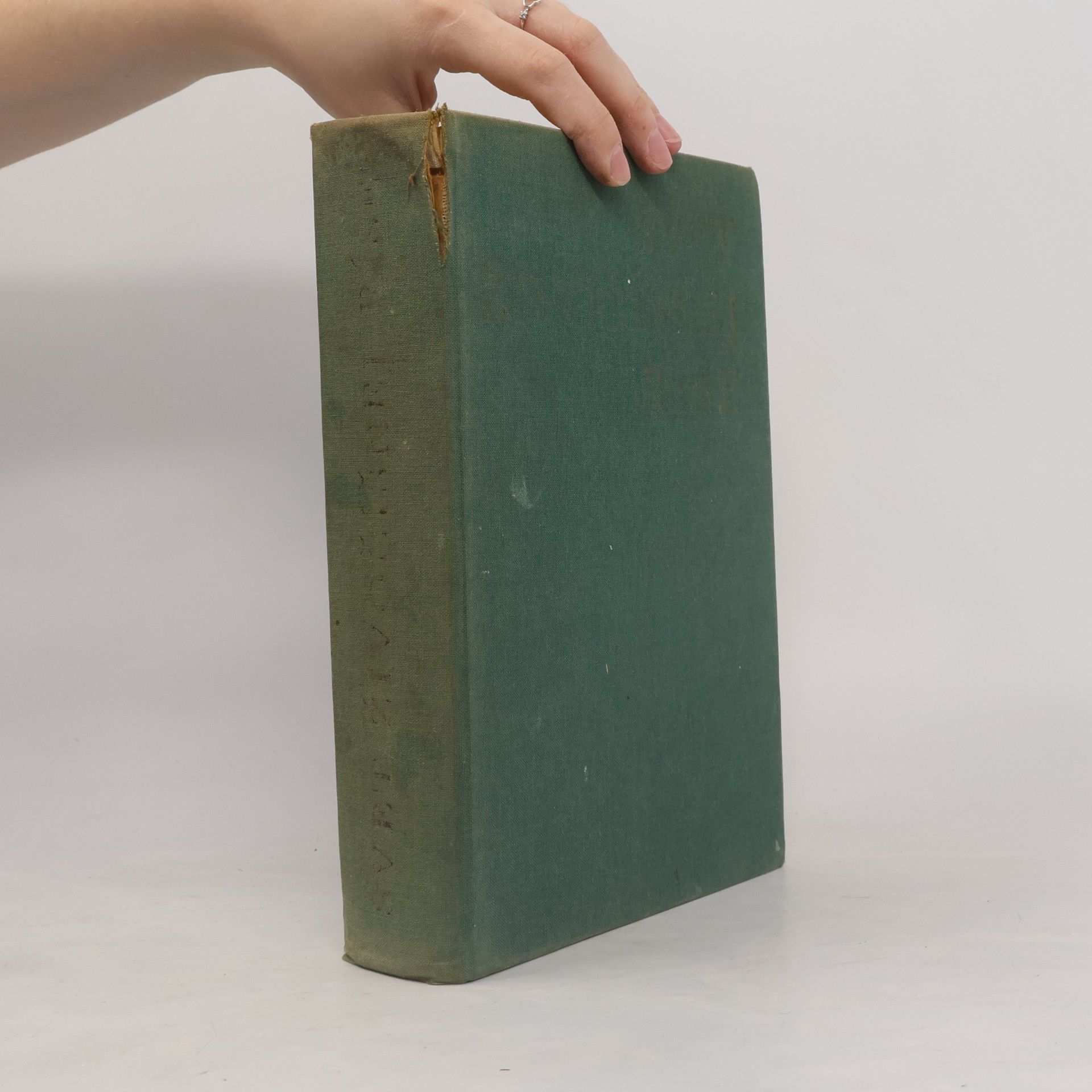 Anna Gutteková Svět v literatuře