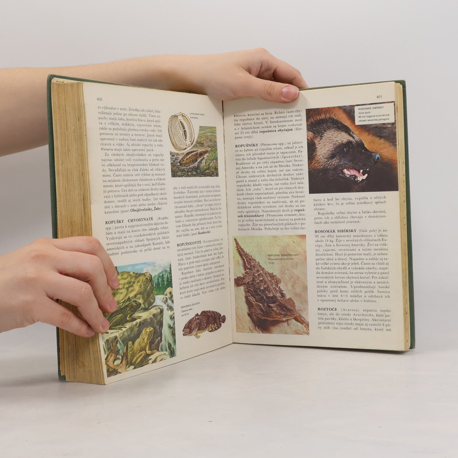 Anna Gutteková Svět v literatuře