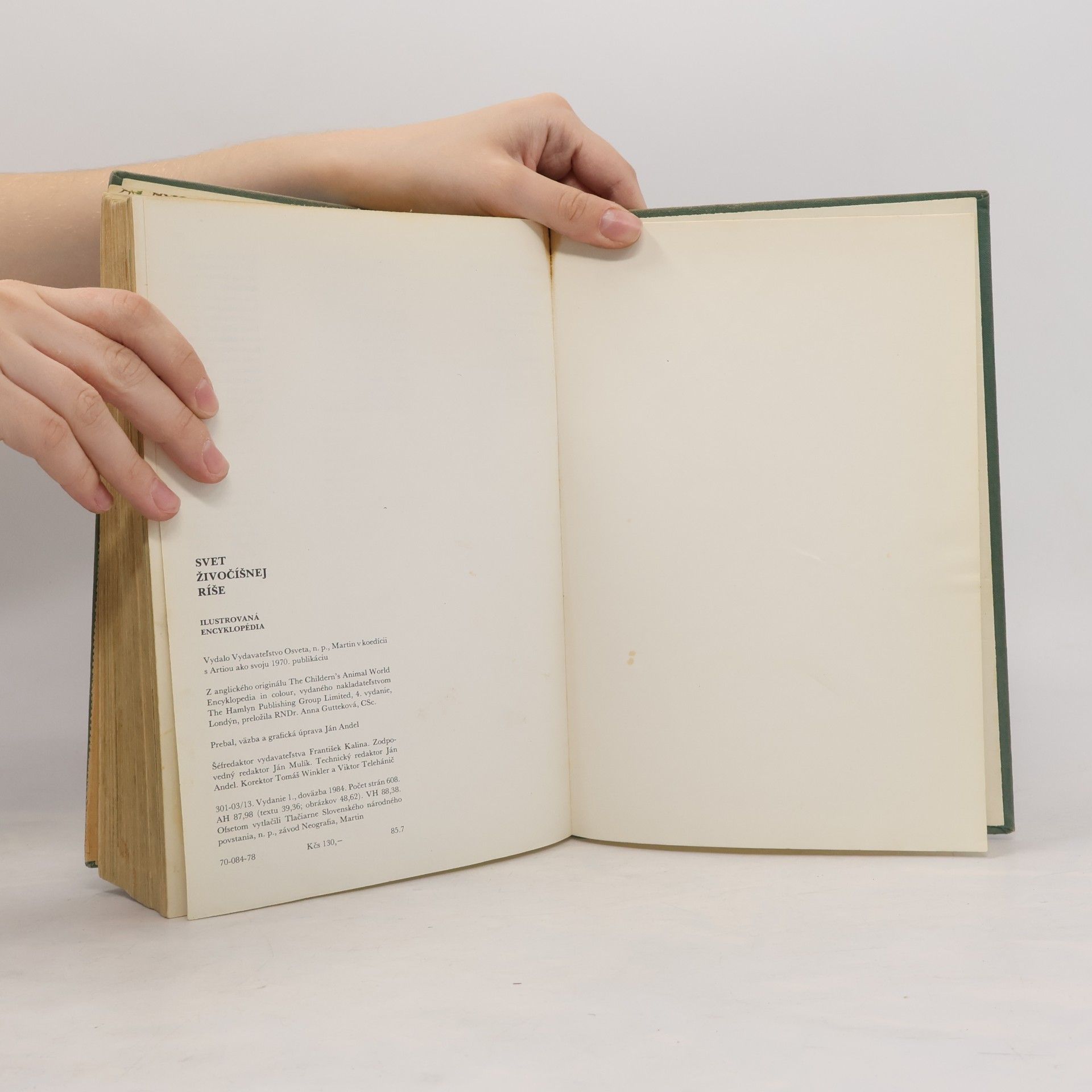 Anna Gutteková Svět v literatuře