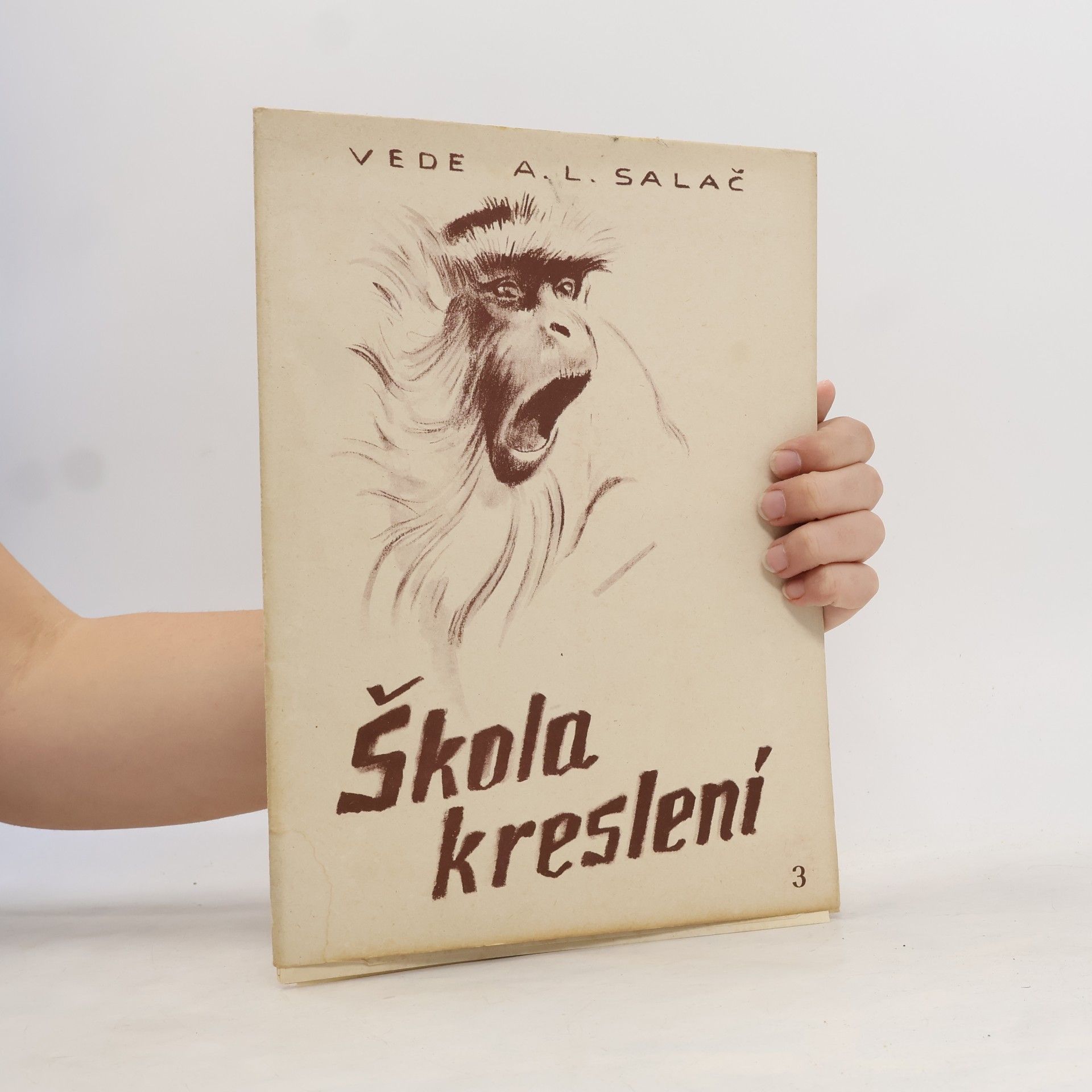 A. Ludvík Salač Škola kreslení 3