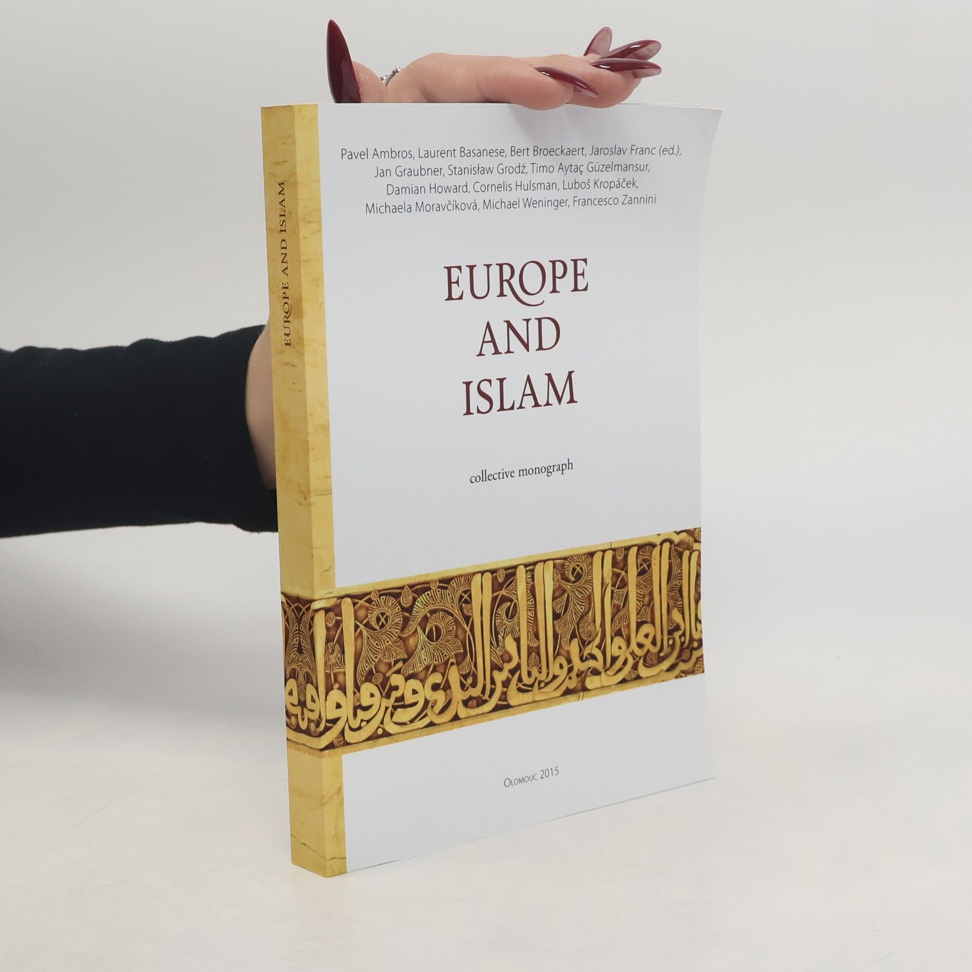 Kolektiv autorů Europe and Islam
