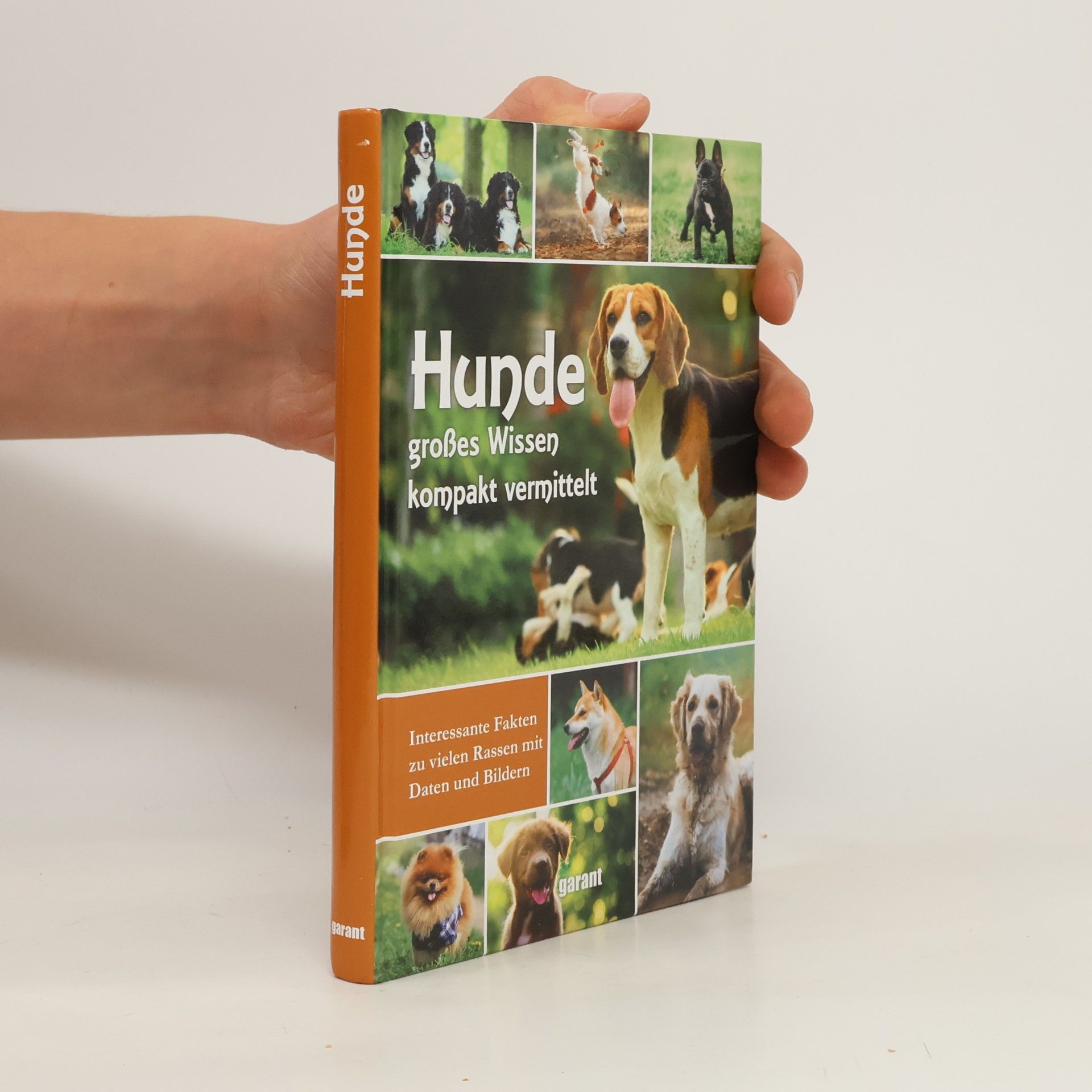 Hunde