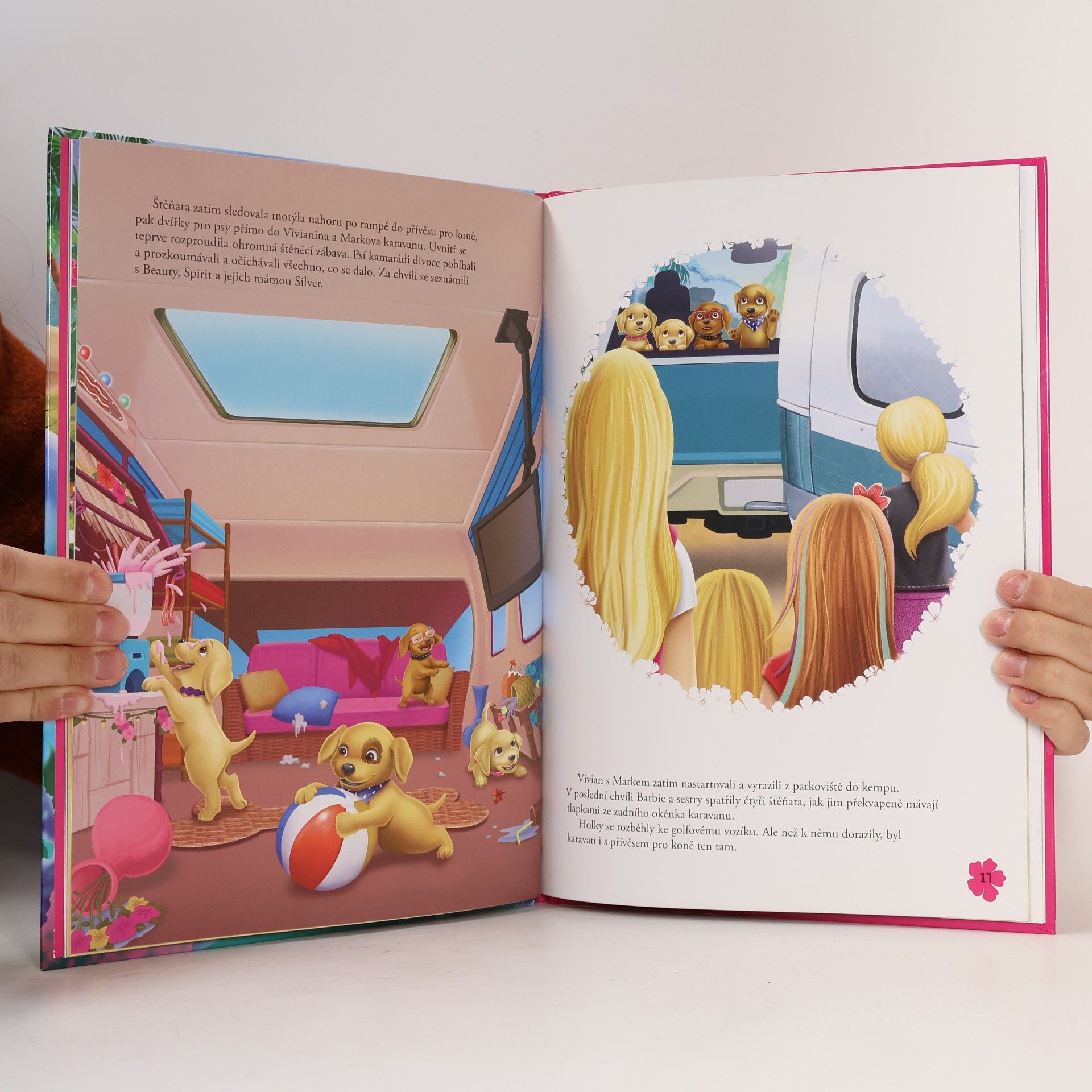 Kolektiv autorů Barbie a sestřičky - Zachraňte pejsky