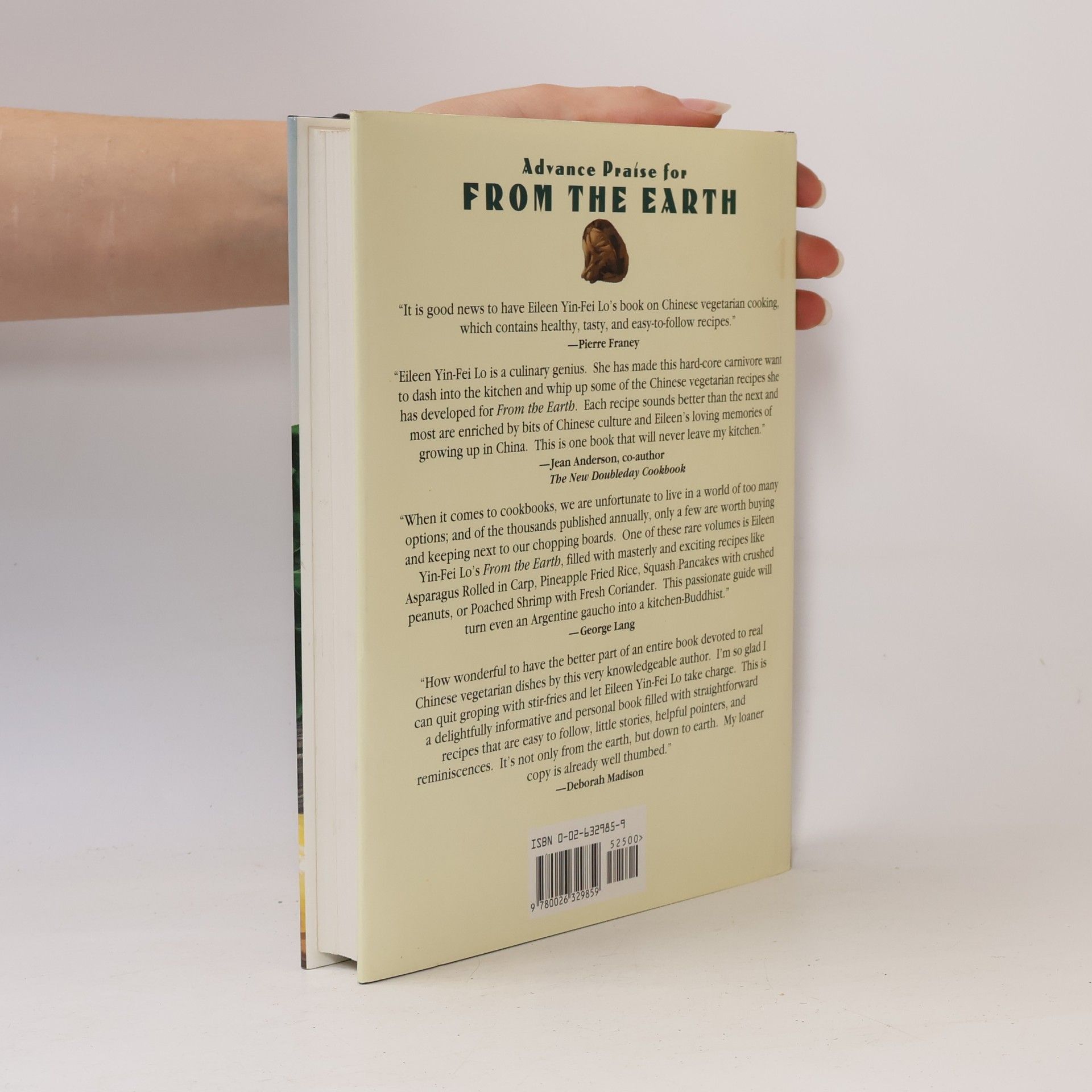 Eileen Yin-Fei Lo From the Earth
