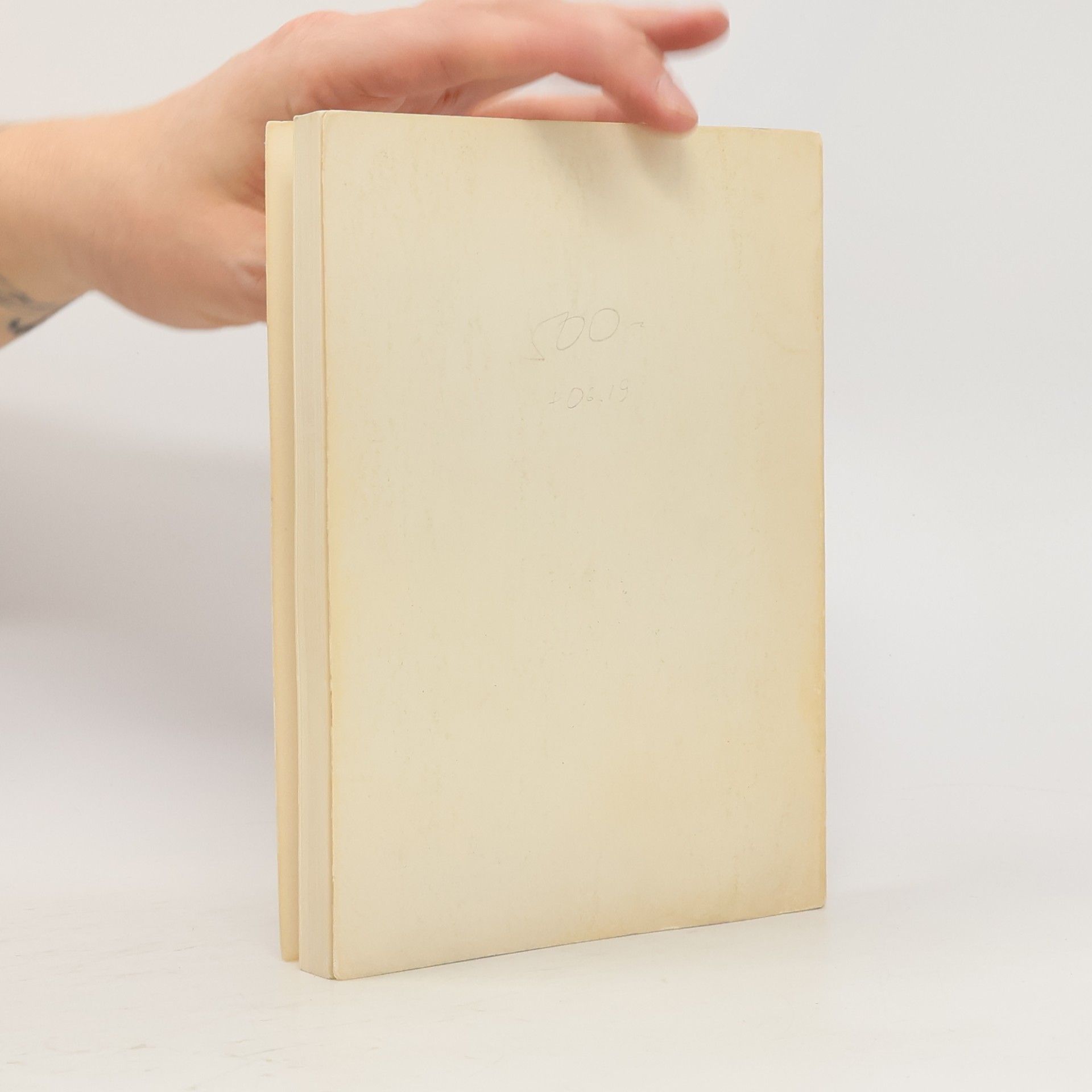 Nikolaj Alexandrovič Berďajev Философія неравенства