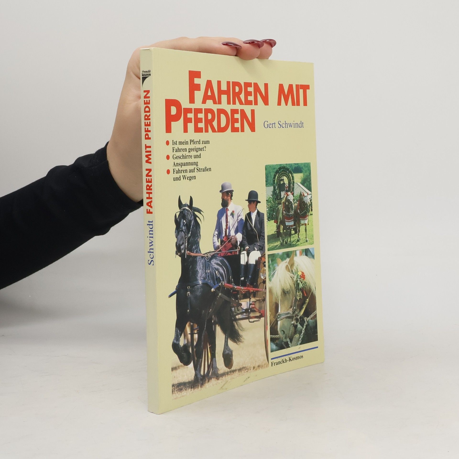Fahren mit Pferden