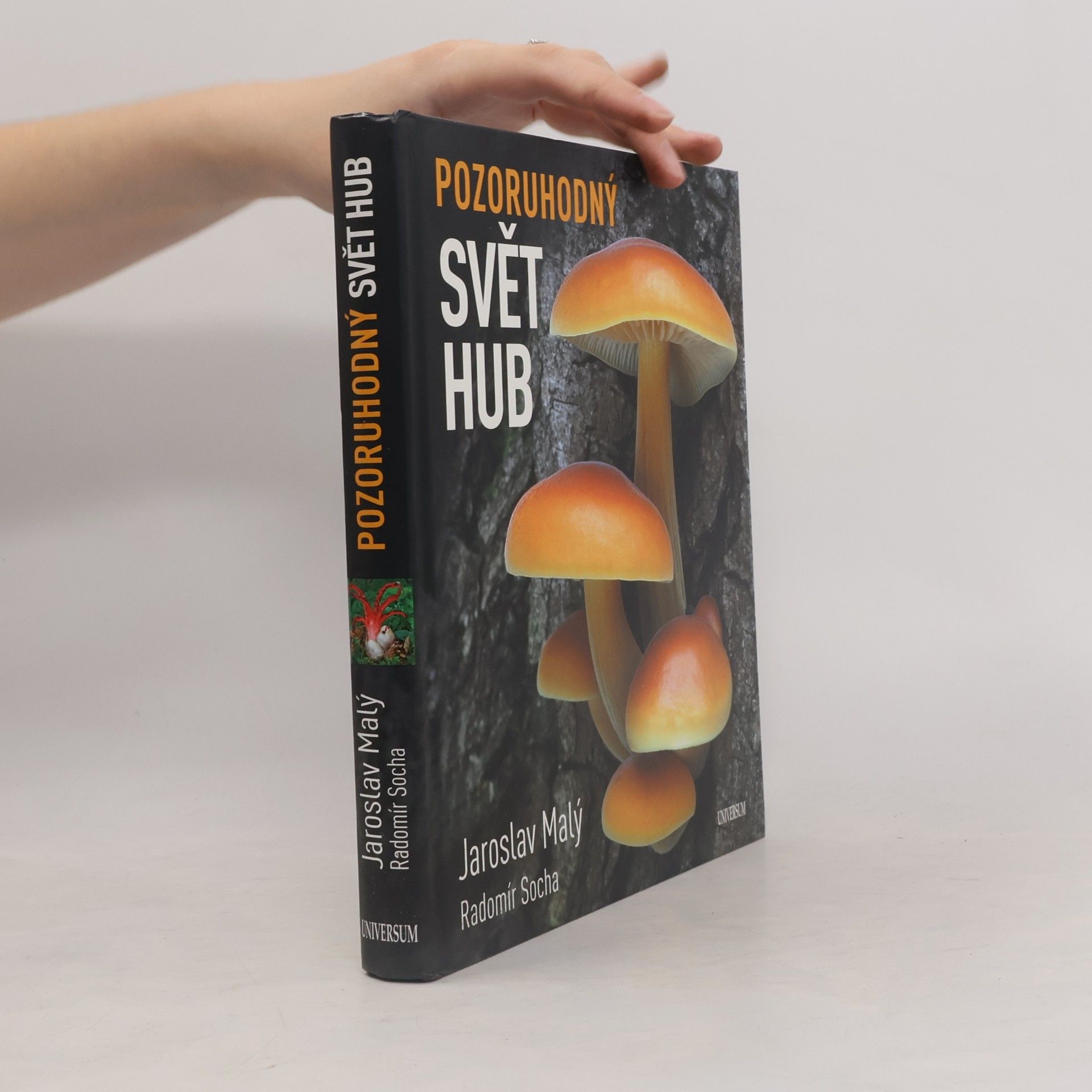 Pozoruhodný svět hub